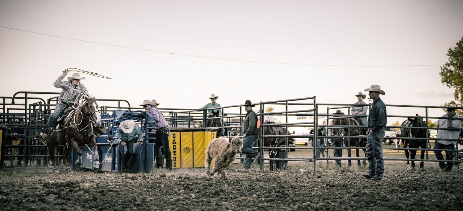 Cowboys compete in a rodeo event at dusk, with riders on horseback and spectators near metal livestock pens.
