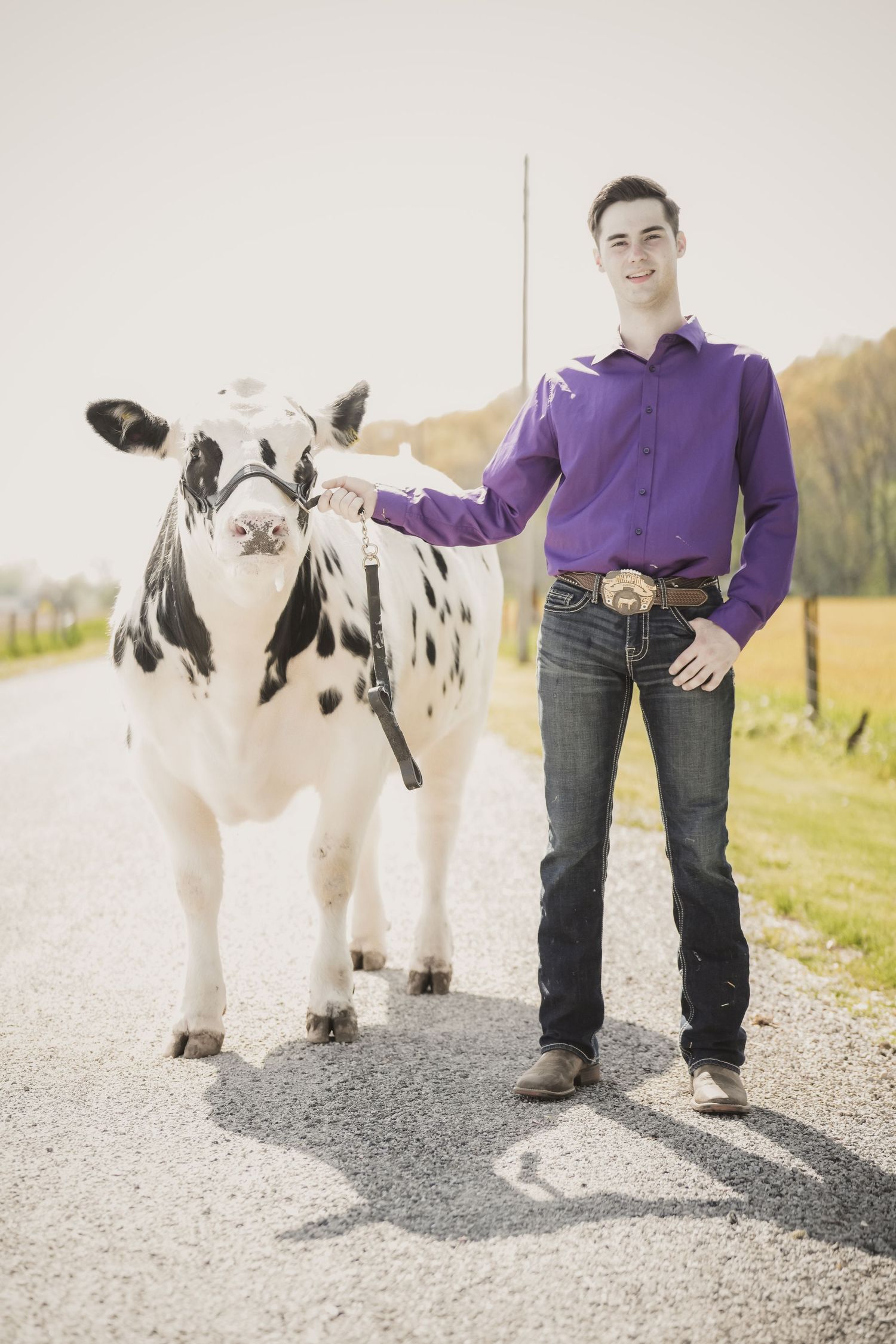 Smiling young man in purple shirt standing with a black and white Holstein cow on a gravel road.