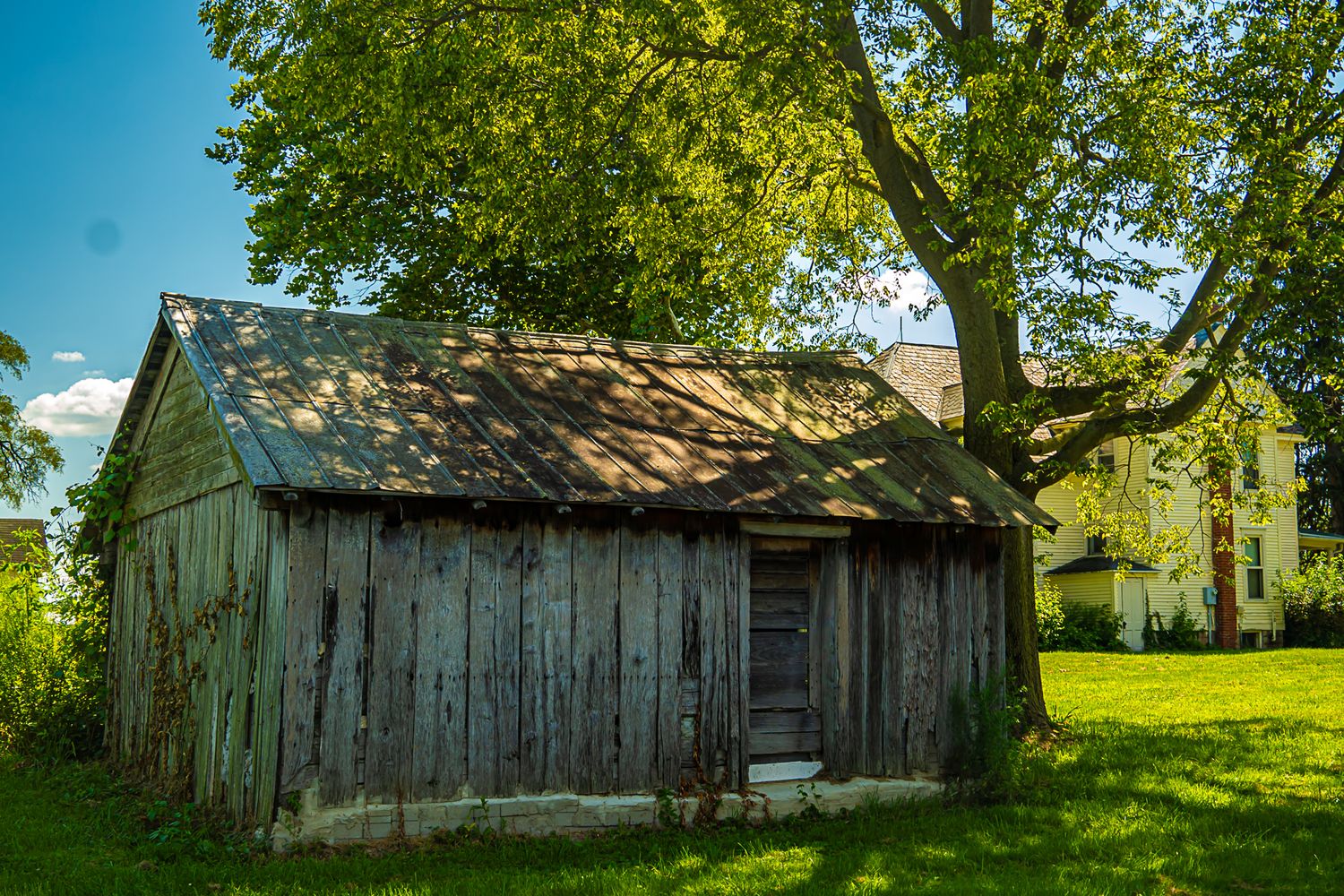 An old weathered wooden outbuilding sits beneath a large shade tree next to a historic farmhouse.
