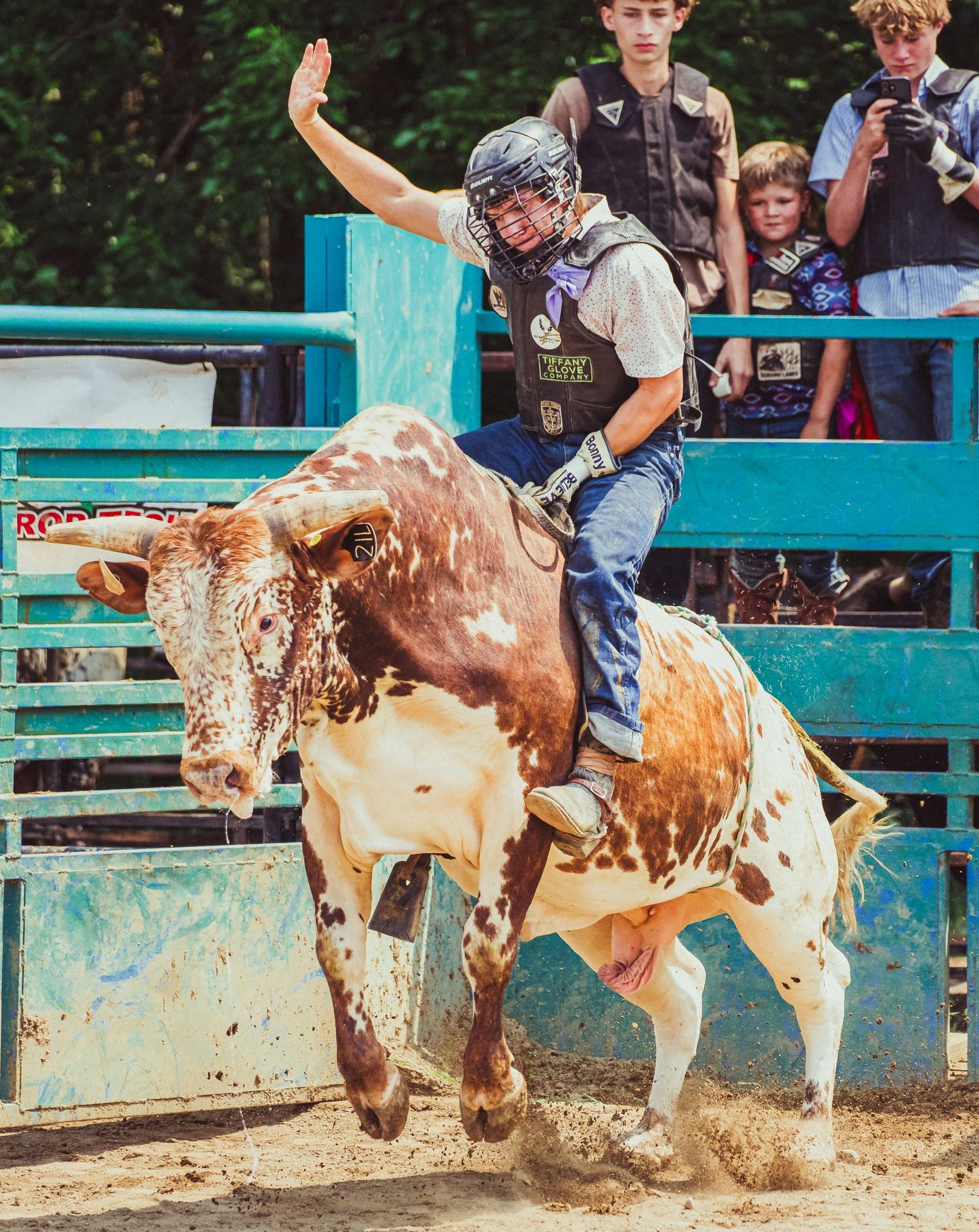 Young bull rider in helmet and vest rides a bucking spotted bull at a rodeo arena with spectators watching.
