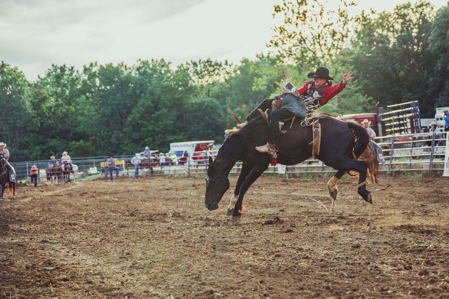 A cowboy rides a bucking horse at an outdoor rodeo event, surrounded by fencing and trees in the background.