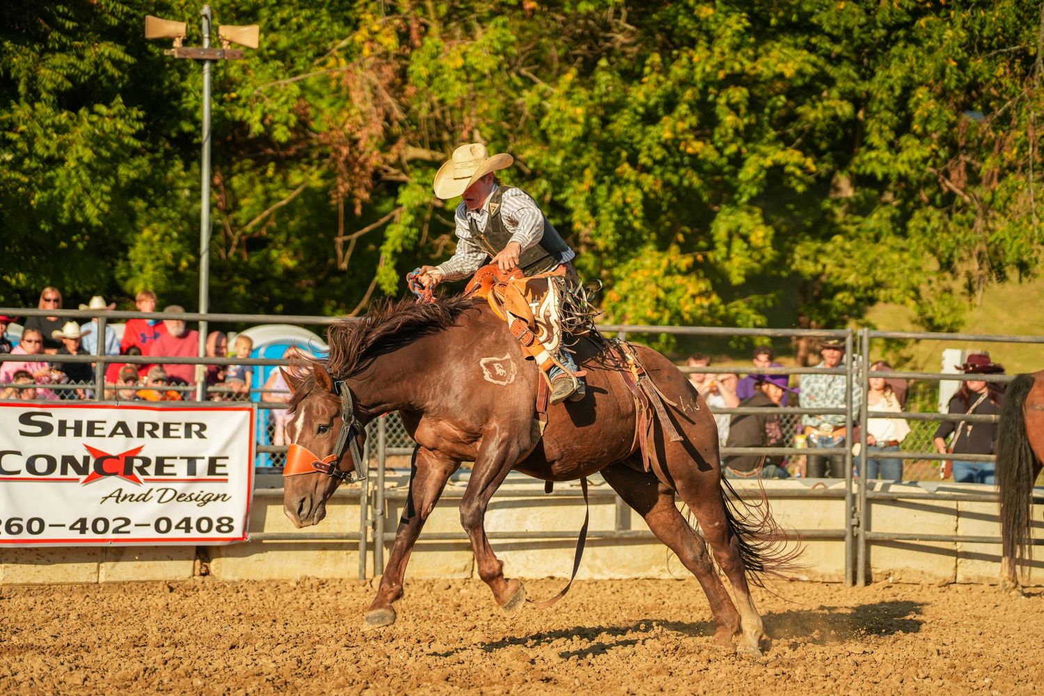 A rodeo cowboy in a white hat rides a bucking brown horse at an outdoor arena during a sunny event.