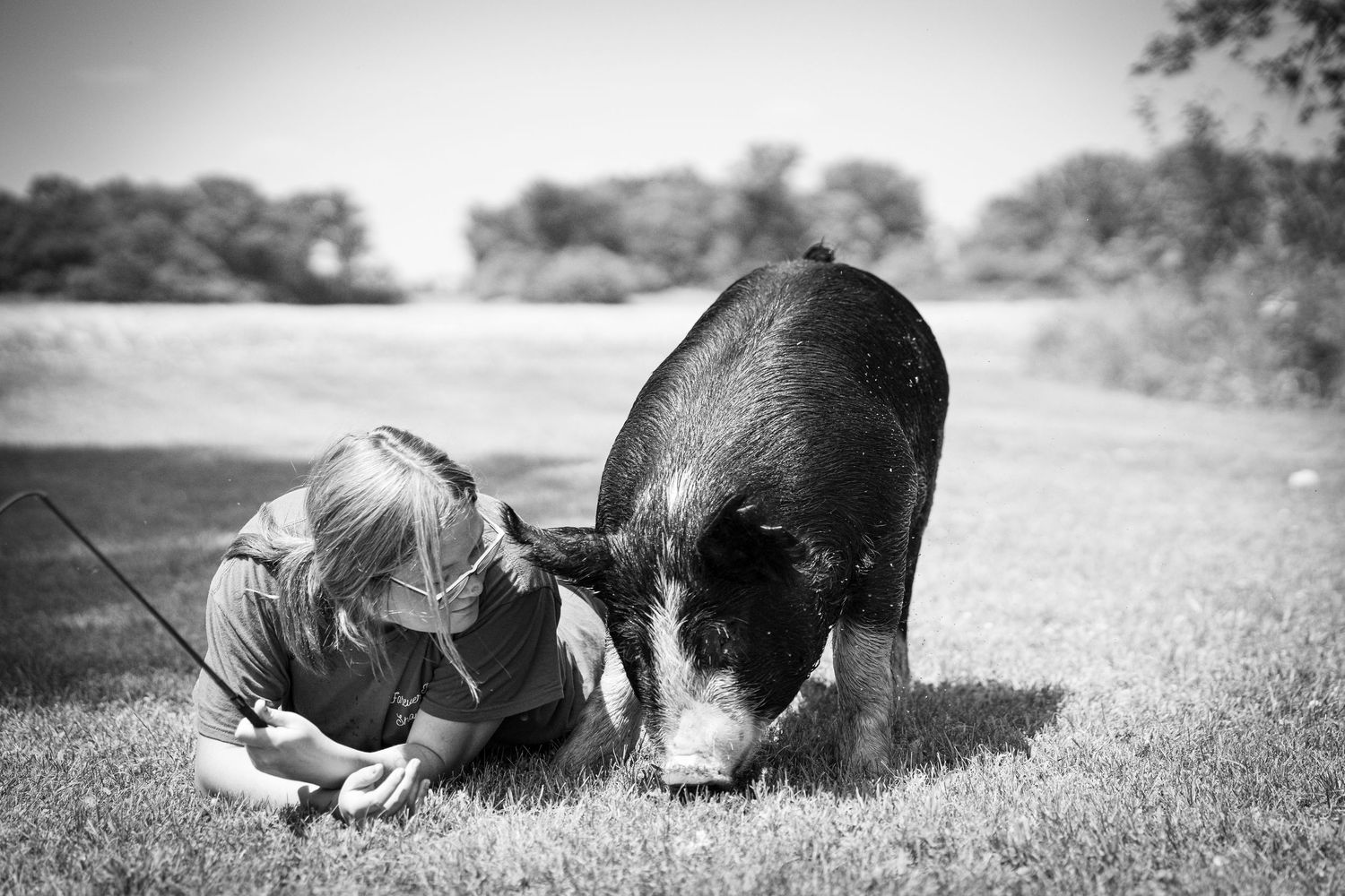 A black and white photo of a young child lying on grass nose-to-nose with a large black pig.