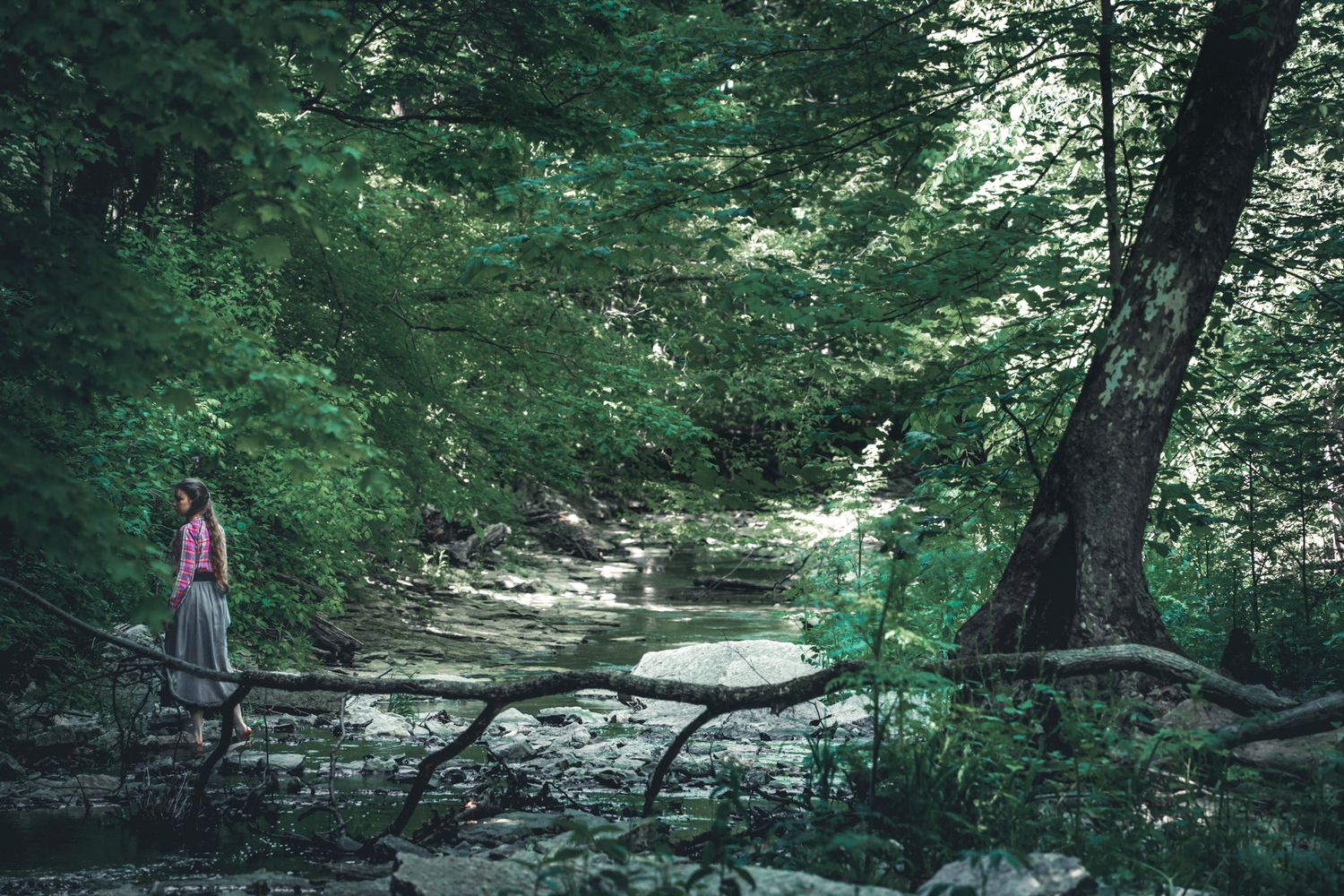 A person stands on a fallen log over a rocky stream in a lush green forest.