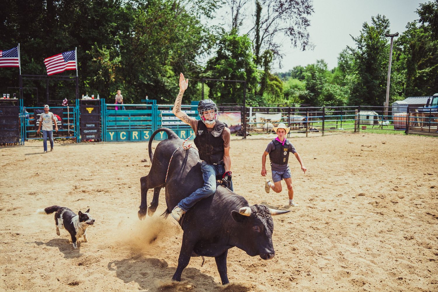 A young bull rider waves while riding a black bull at an outdoor rodeo arena with spectators and a dog nearby.