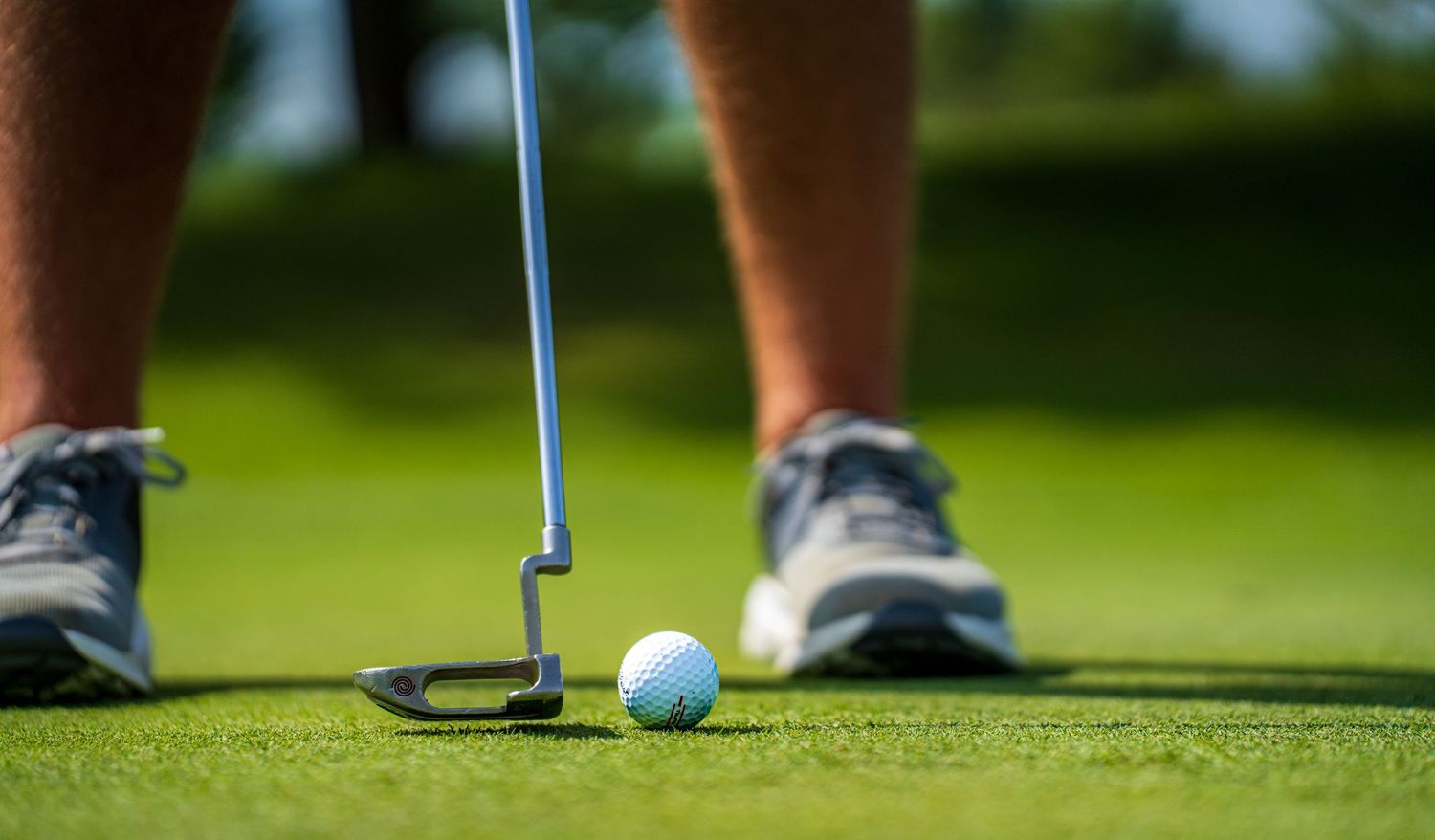 Close-up of a golfer putting on a green, with a putter near a golf ball on short grass.