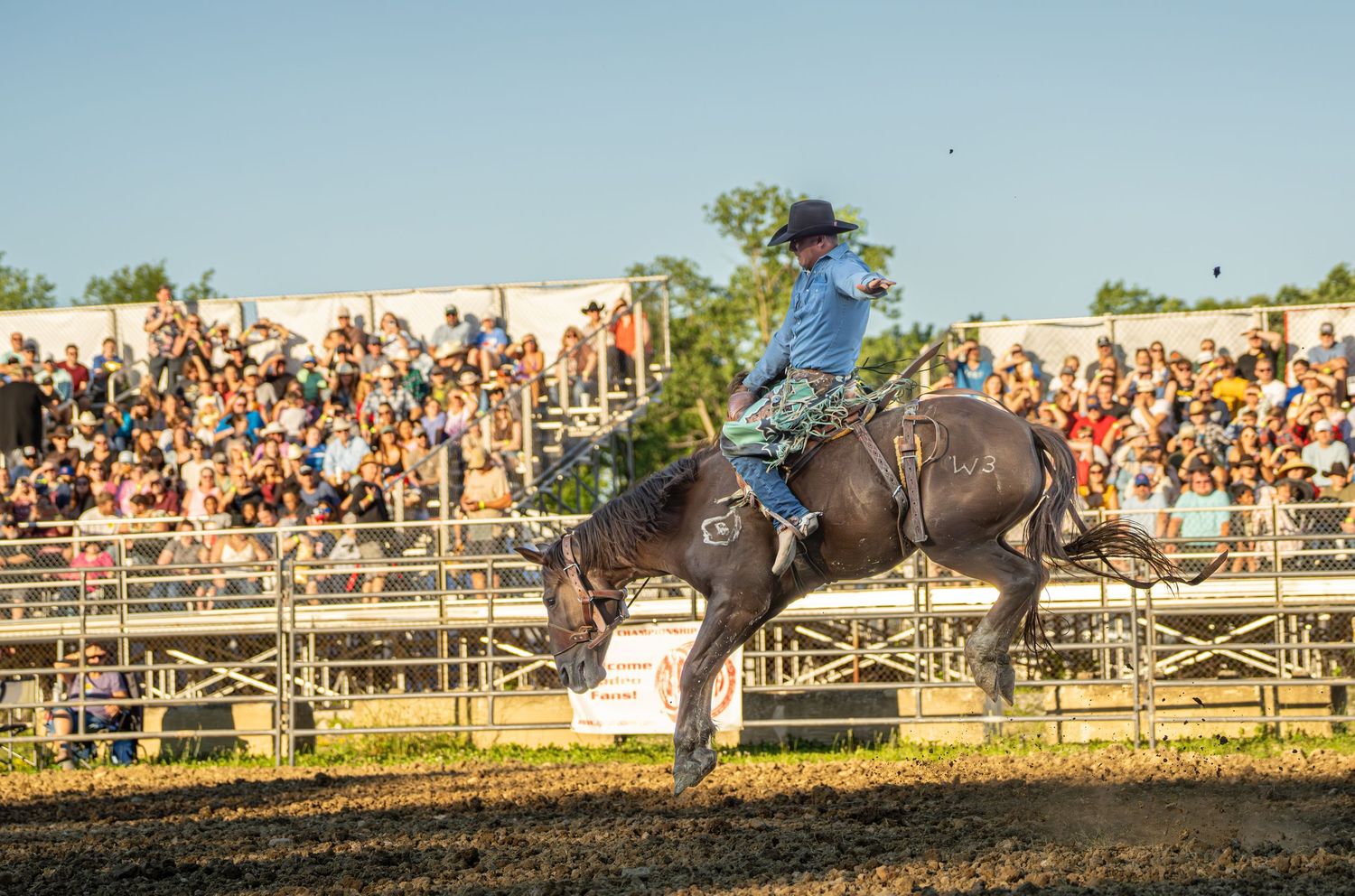 Cowboy riding a bucking bronco at a rodeo event with a large crowd of spectators watching in the background.