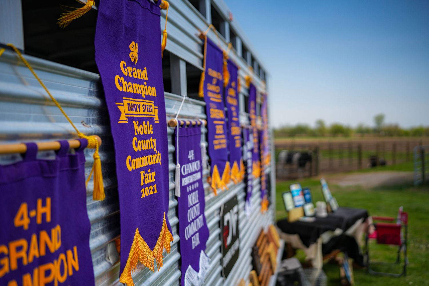 Purple Grand Champion ribbons from Noble County Community Fair 2022 hanging on a trailer.