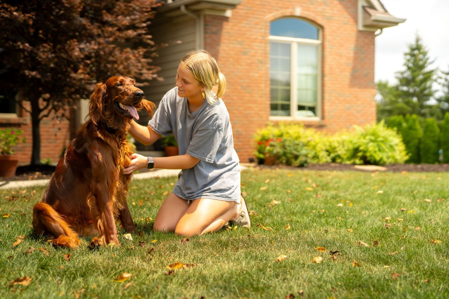 Blonde girl kneeling on lawn petting her golden Irish Setter dog.