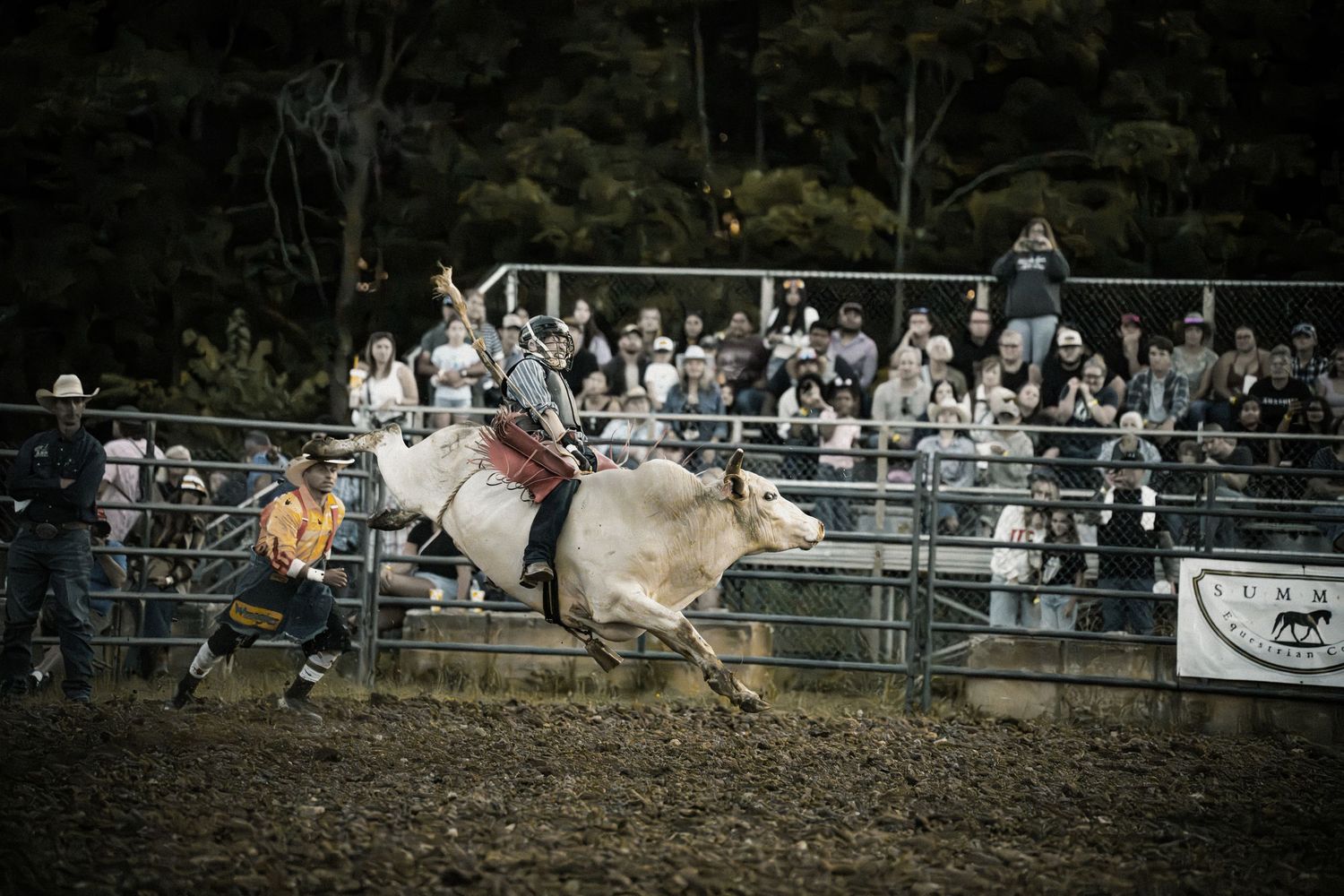 Bull rider holds on as a white bull bucks wildly in front of a large crowd at a rodeo event.