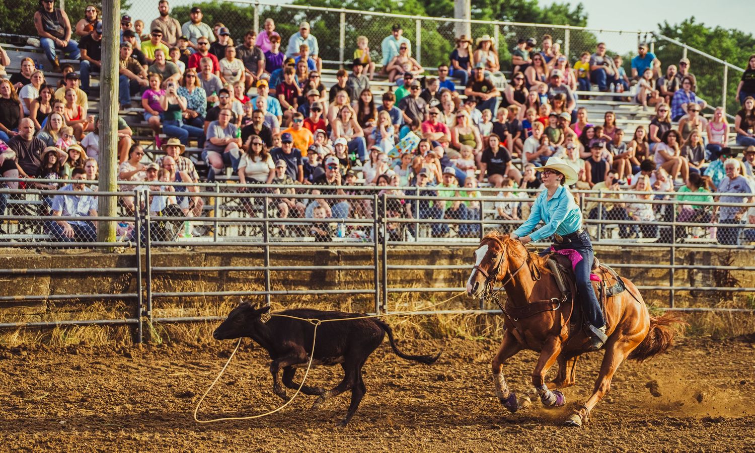 A cowgirl on horseback chases a calf during a roping event at a crowded outdoor rodeo competition.
