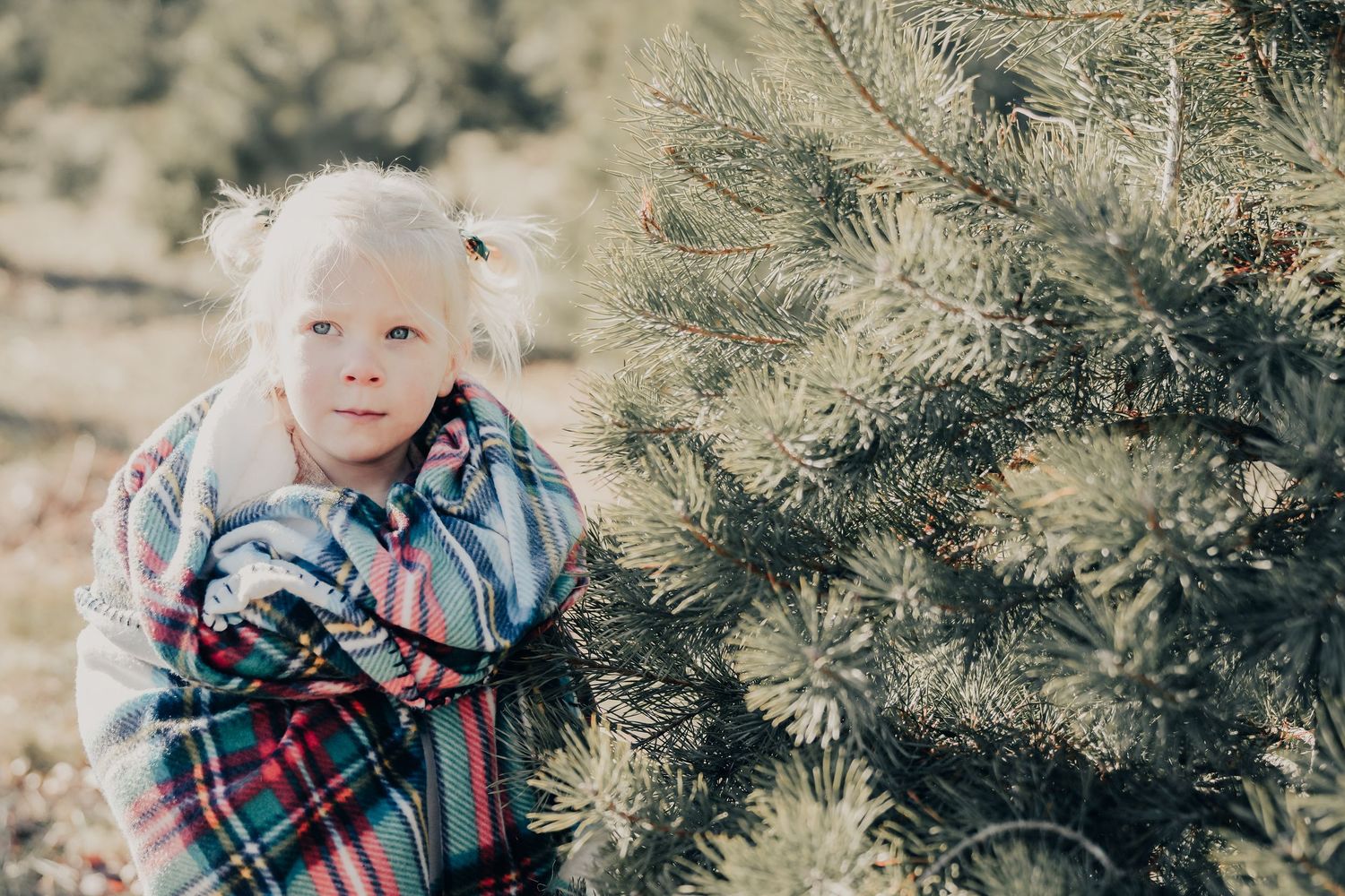 A young blonde girl wrapped in a plaid blanket stands beside a pine tree outdoors.