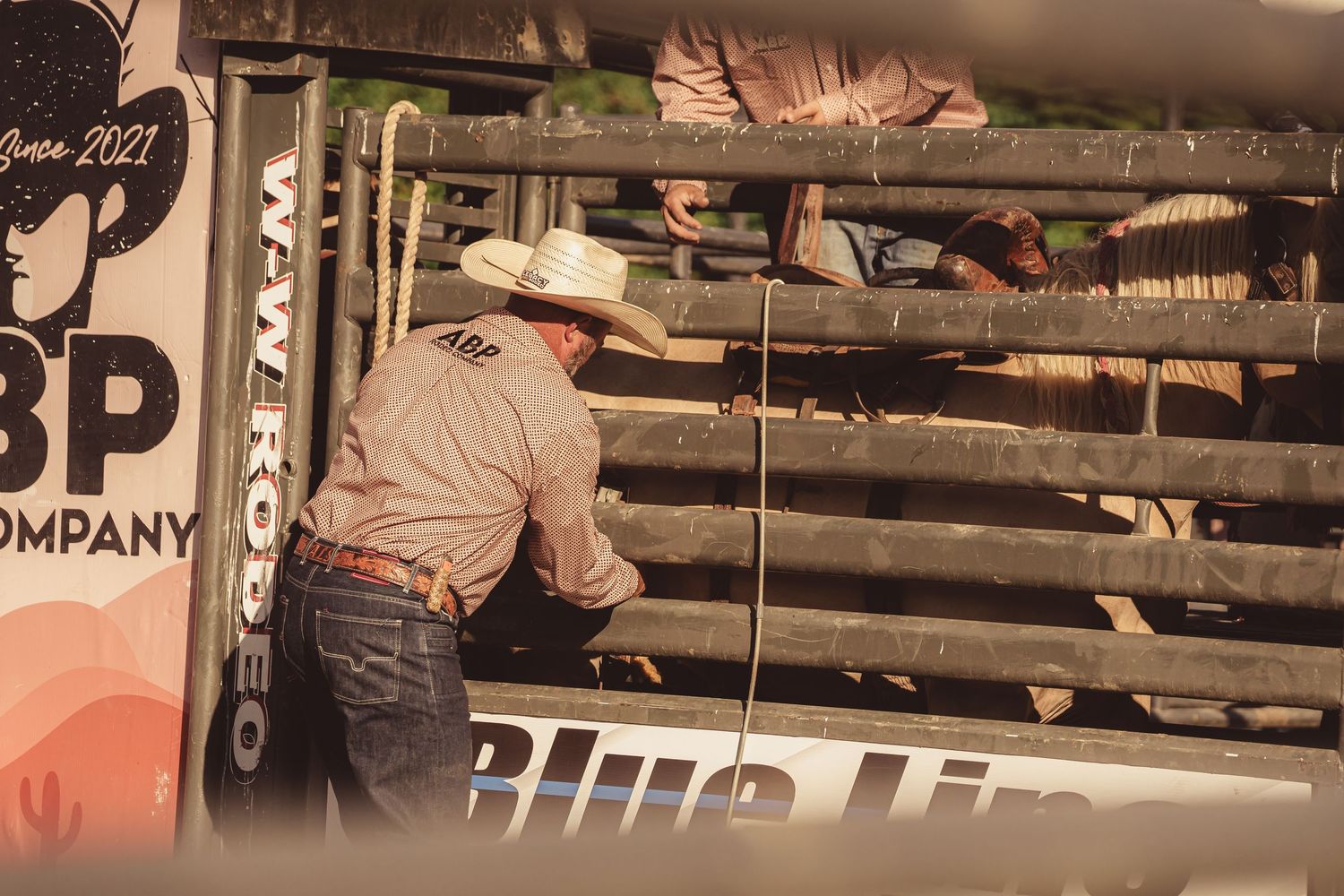 Cowboy in white hat leans over rodeo chute rope beside Blue Line and BP Company sponsor banners.