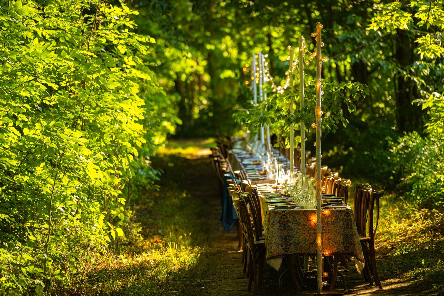 Long outdoor dining table glowing with candlelight set between lush green trees at dusk.