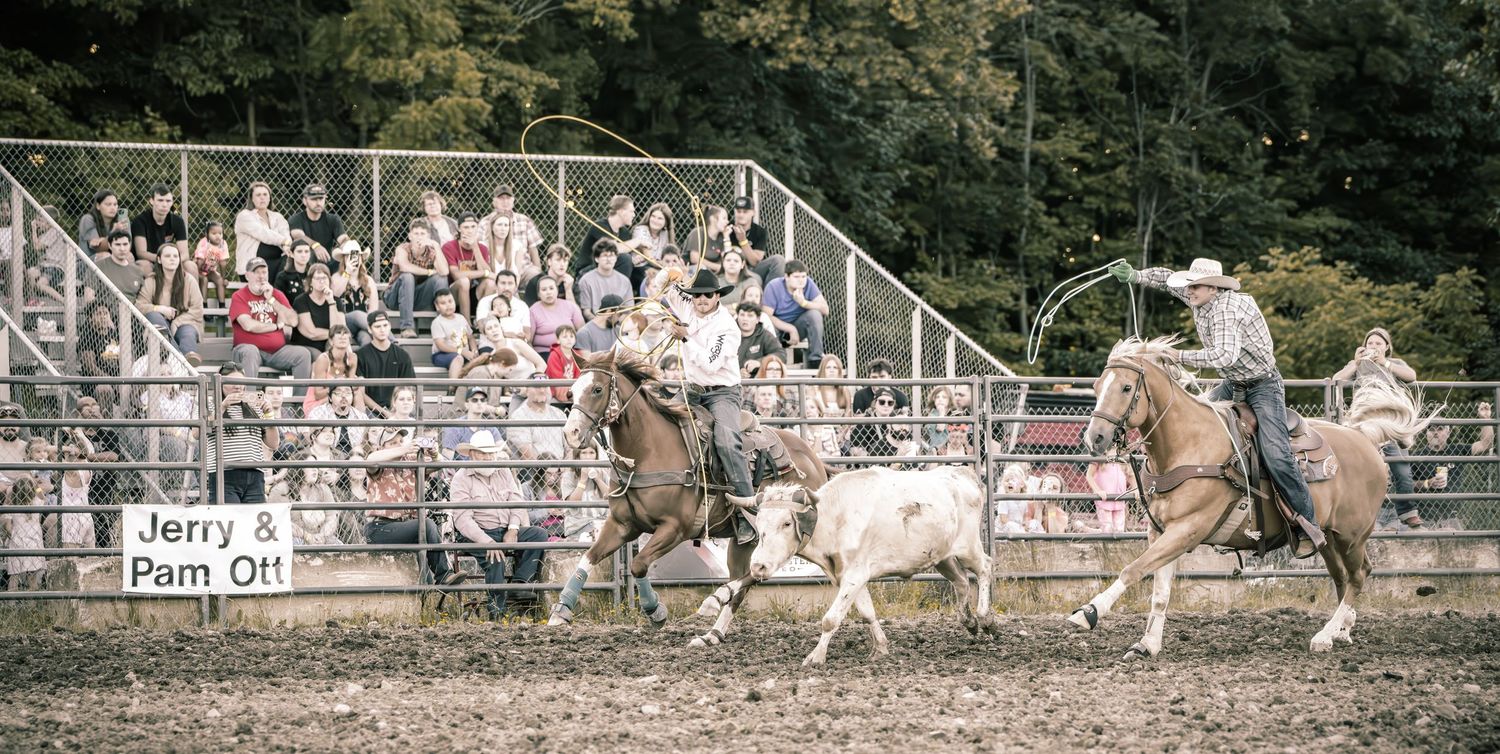 Two cowboys on horseback herd a white steer in a rodeo arena before a packed crowd.