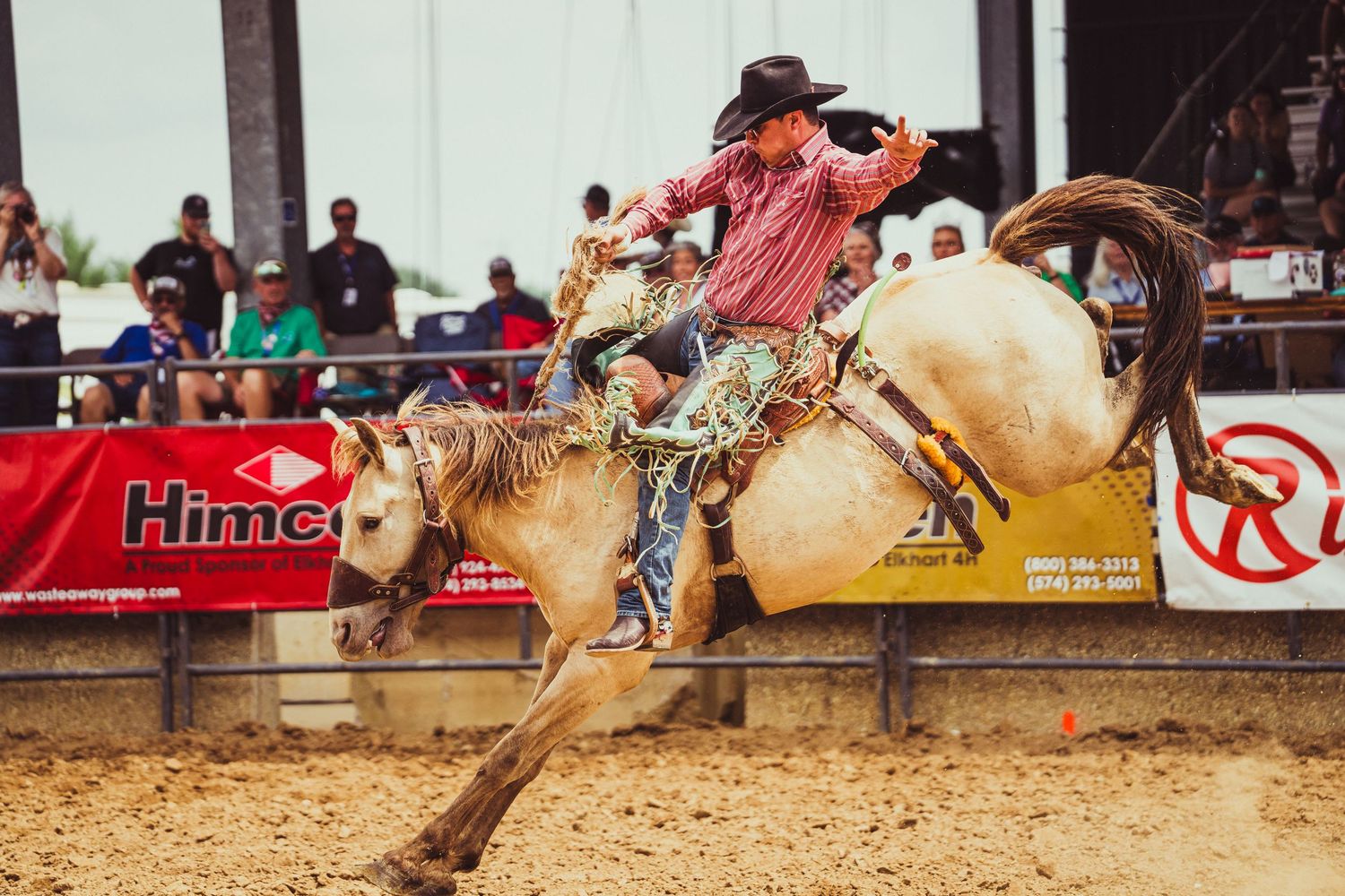 Cowboy riding a bucking bronco at a rodeo competition, wearing a plaid shirt and cowboy hat.