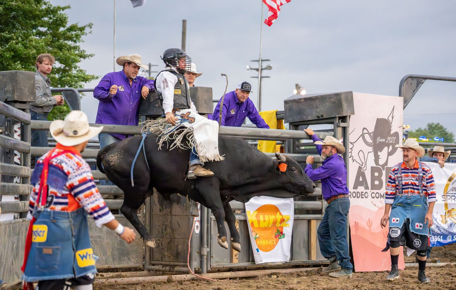 A bull rider in purple shirt competes at an ABС rodeo event while handlers assist in the arena.