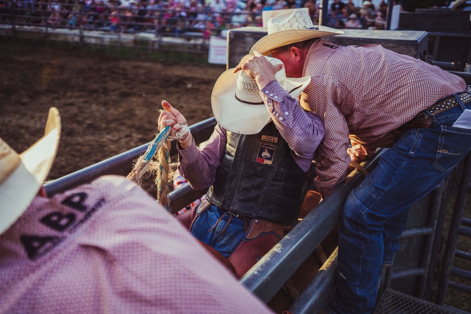 Rodeo cowboys in pink shirts help a bull rider prepare in the chute at a crowded outdoor rodeo event.