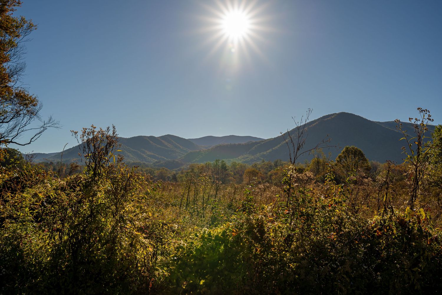 Bright sun shining over mountain valley with golden wildflowers and clear blue sky in autumn.