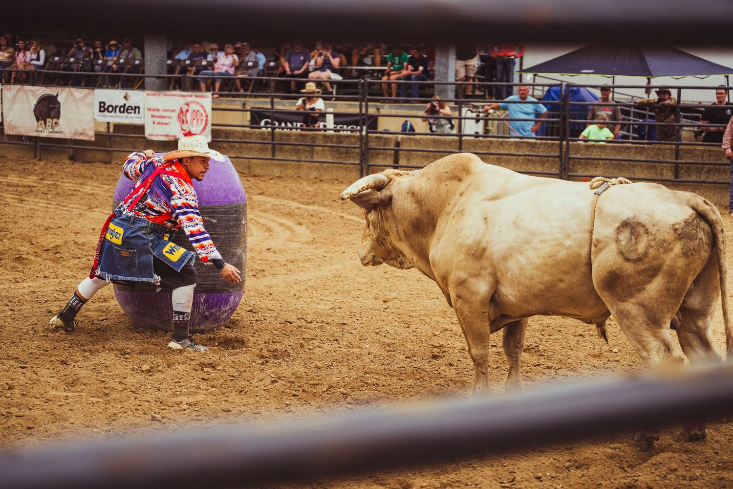 Rodeo clown in colorful costume crouching near a barrel as a large white bull approaches in a dirt arena.
