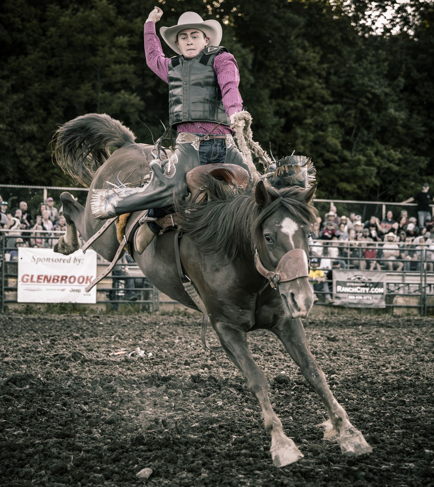 A young rodeo rider in a pink shirt and vest performs bareback bronc riding at a crowded rodeo event.