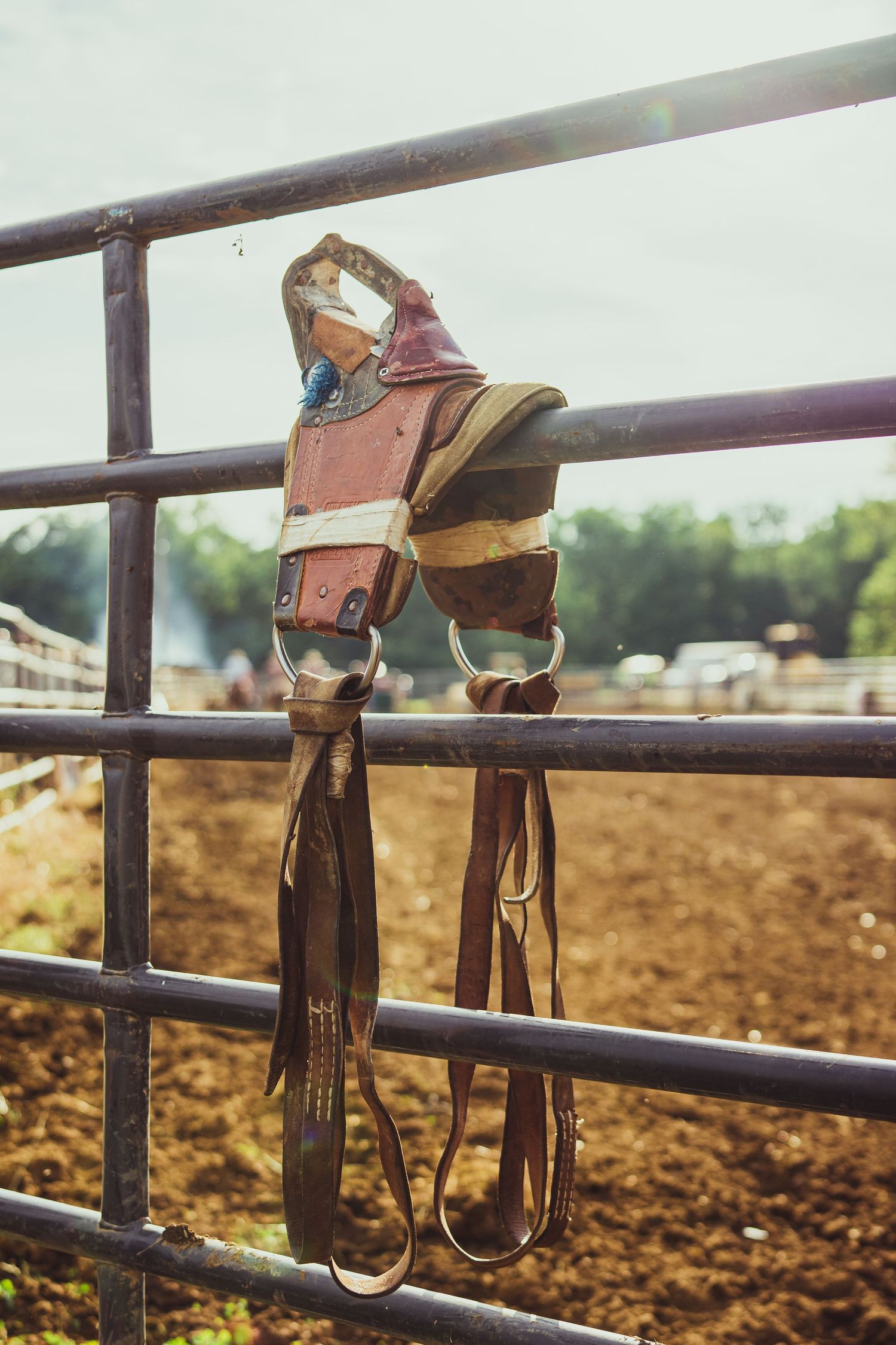 A worn leather rodeo bull riding rope and rigging hanging on metal fence rails at an outdoor rodeo arena.