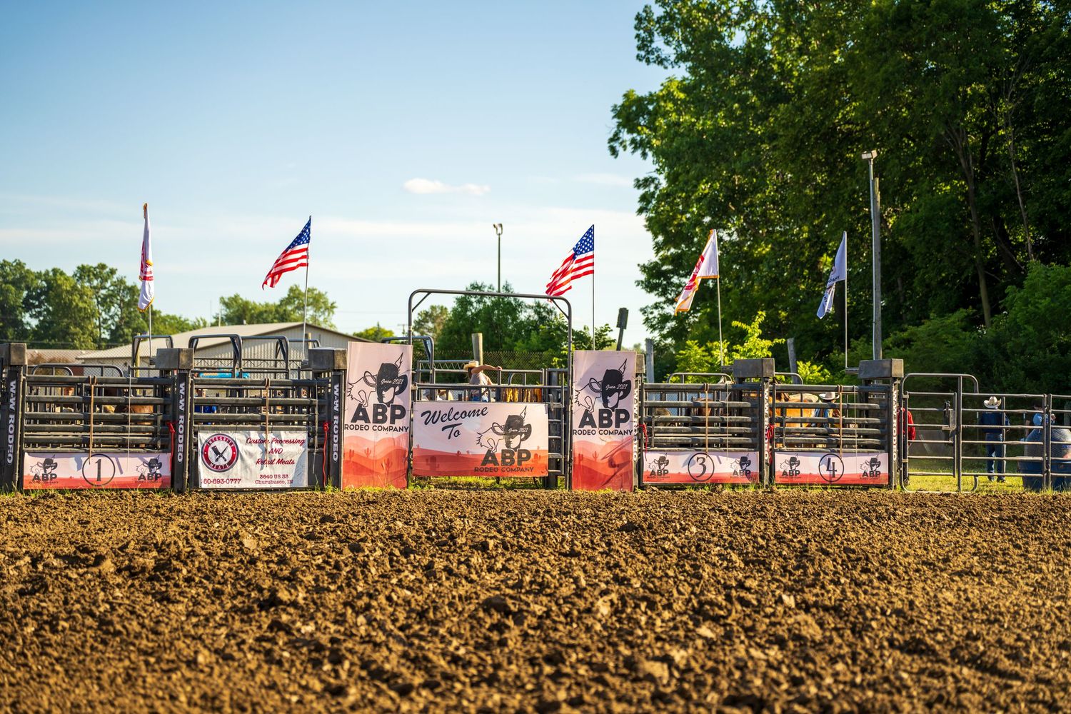 Empty rodeo arena with ABP banners, metal chutes, and American flags flying under a clear blue sky.