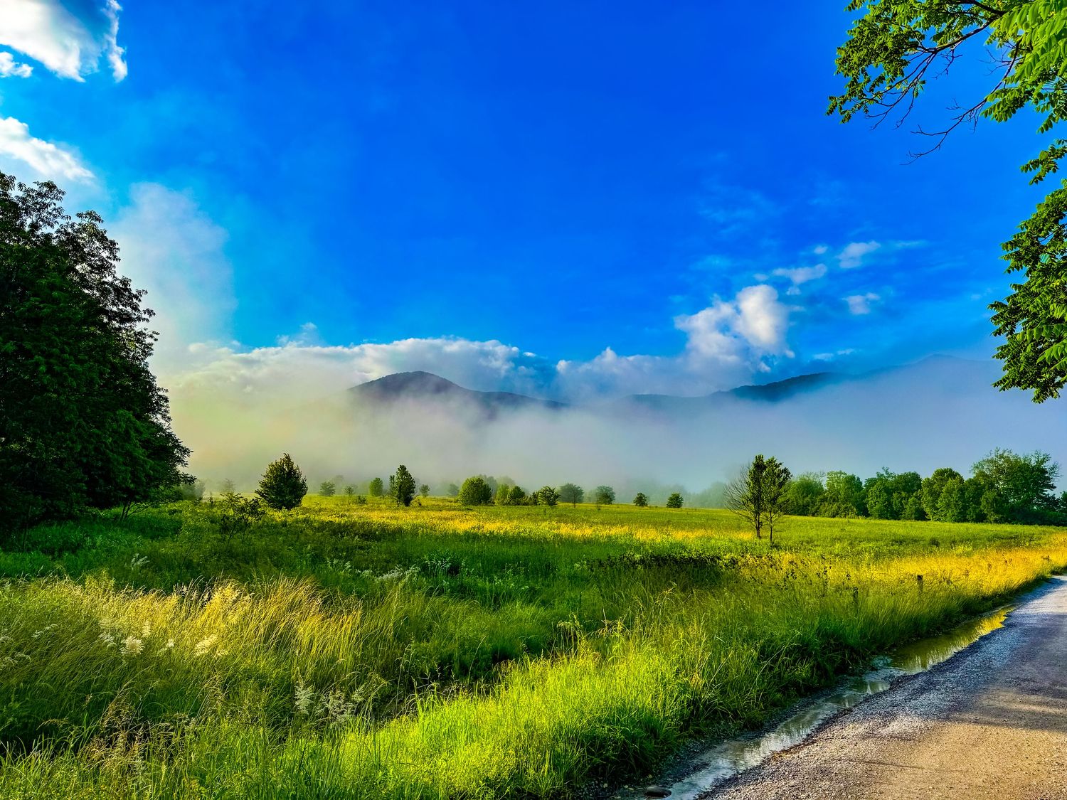 Scenic green meadow with morning fog over distant mountains under a vibrant blue sky with white clouds.