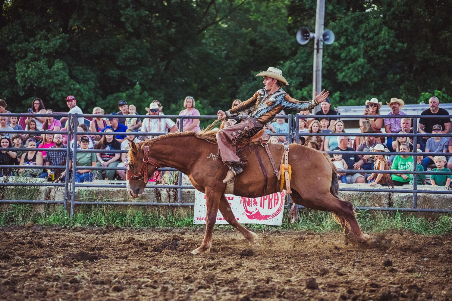 Cowboy riding a chestnut horse at a rodeo arena with cheering crowd and green trees in background.