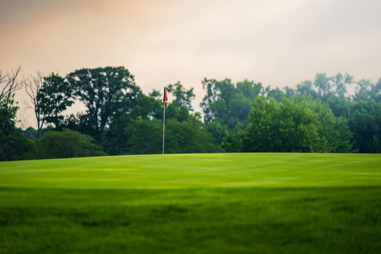 Lush green golf course with a red flag marking the hole, surrounded by trees under a cloudy sky.