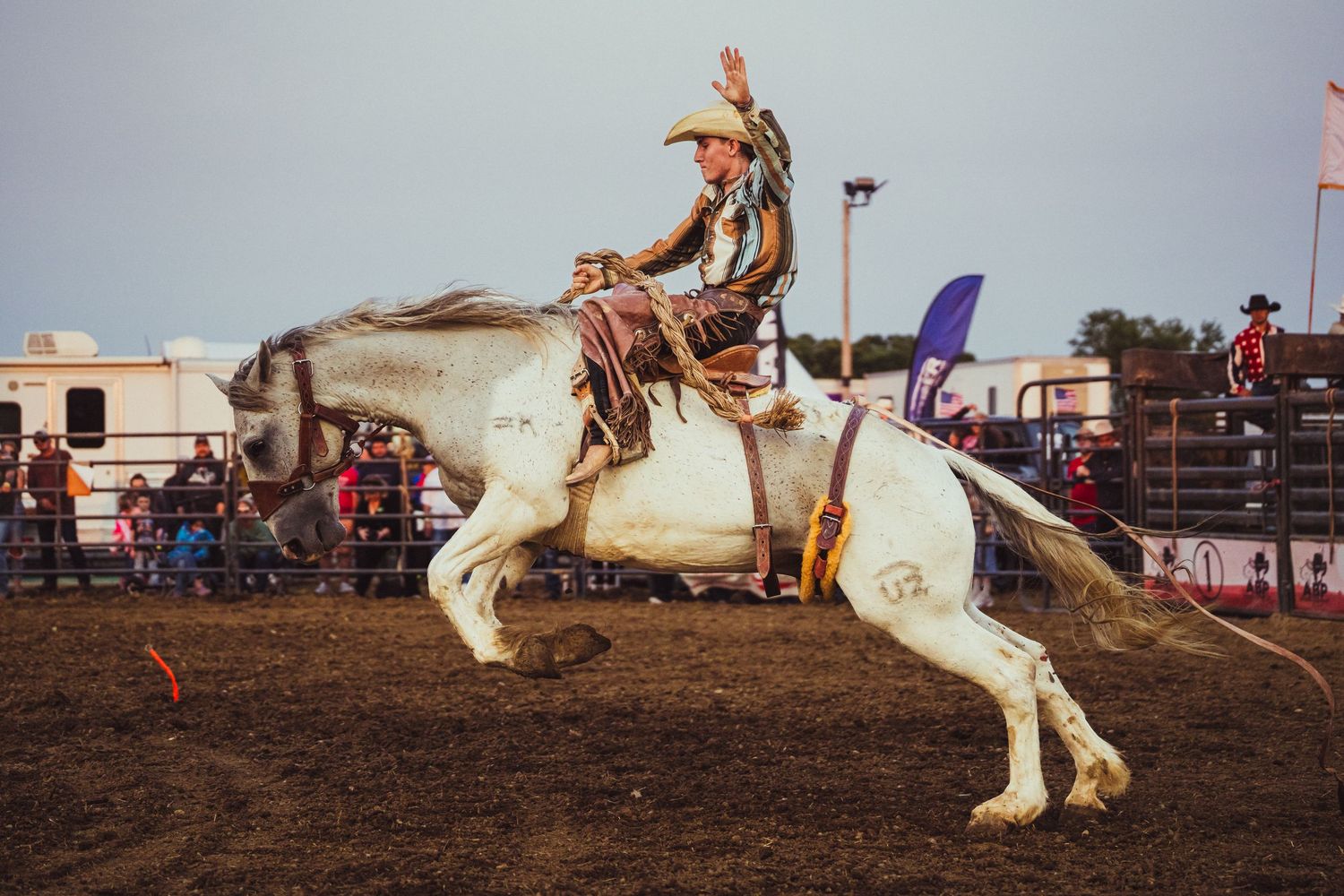 A cowboy rides a bucking white horse at a rodeo, waving his hat in the air during a bronc riding event.