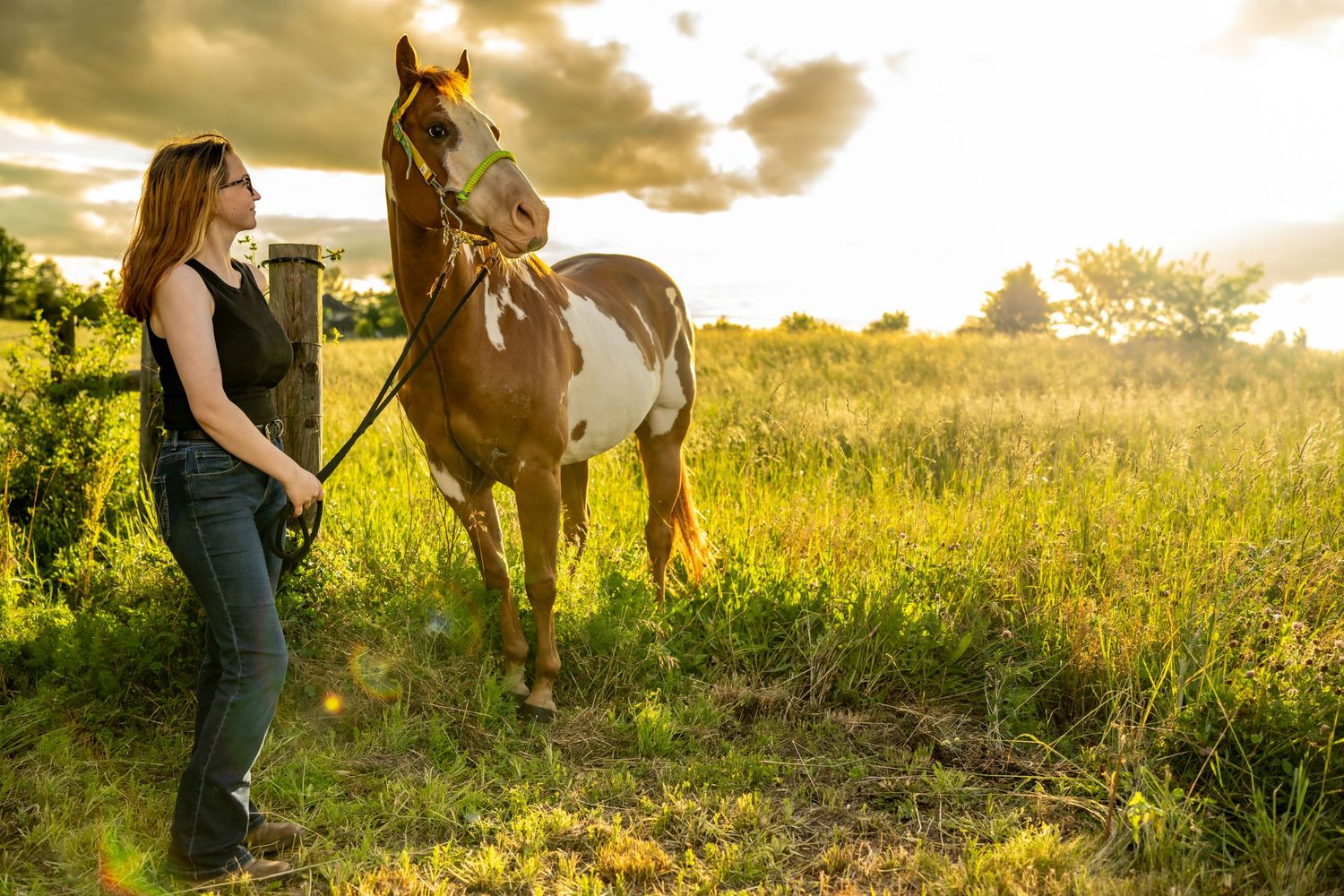 Woman standing with a brown and white paint horse in a sunlit green field under dramatic cloudy skies.