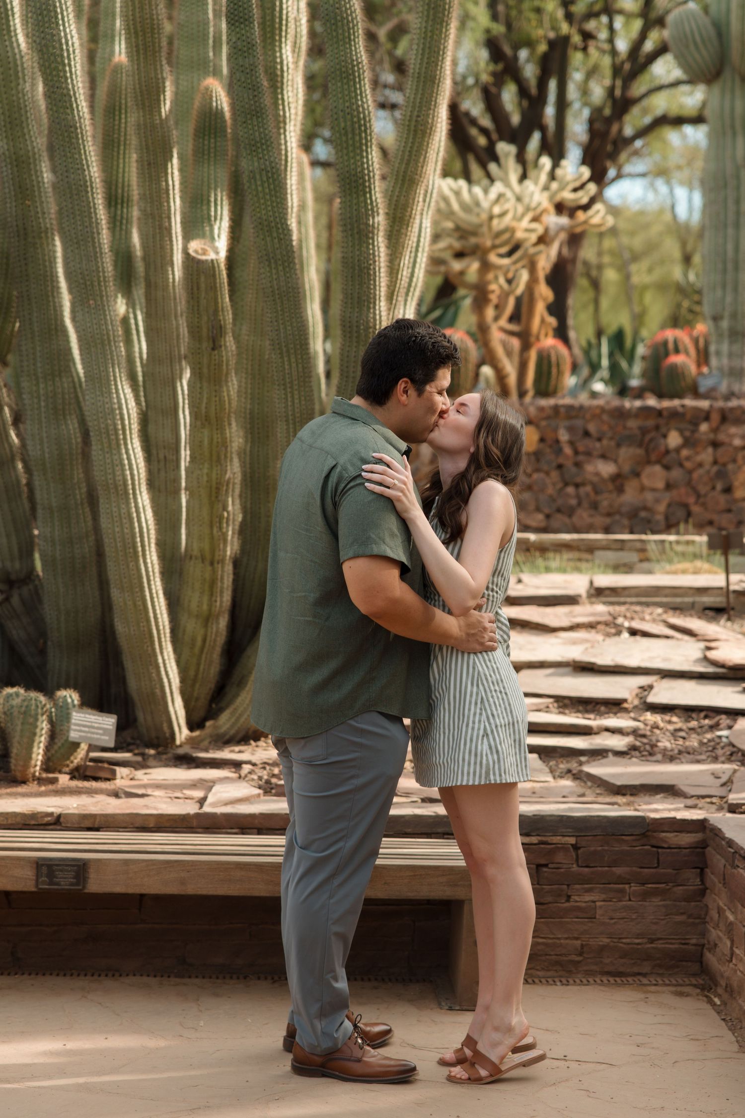 Couple sharing a romantic kiss in front of tall saguaro cacti at a desert botanical garden.