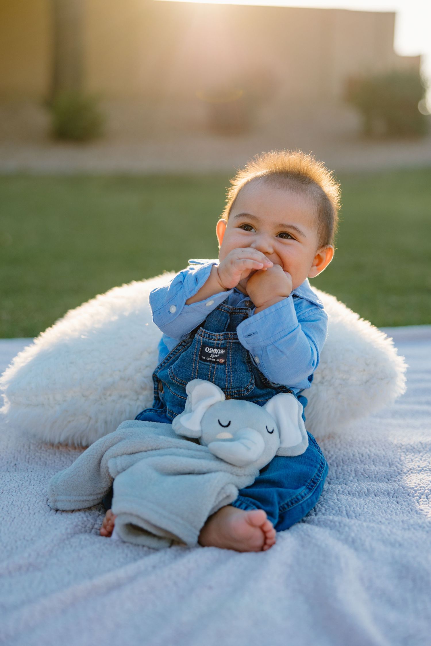 Smiling baby in denim overalls sits on white blanket outdoors, holding a plush elephant toy in golden hour light.