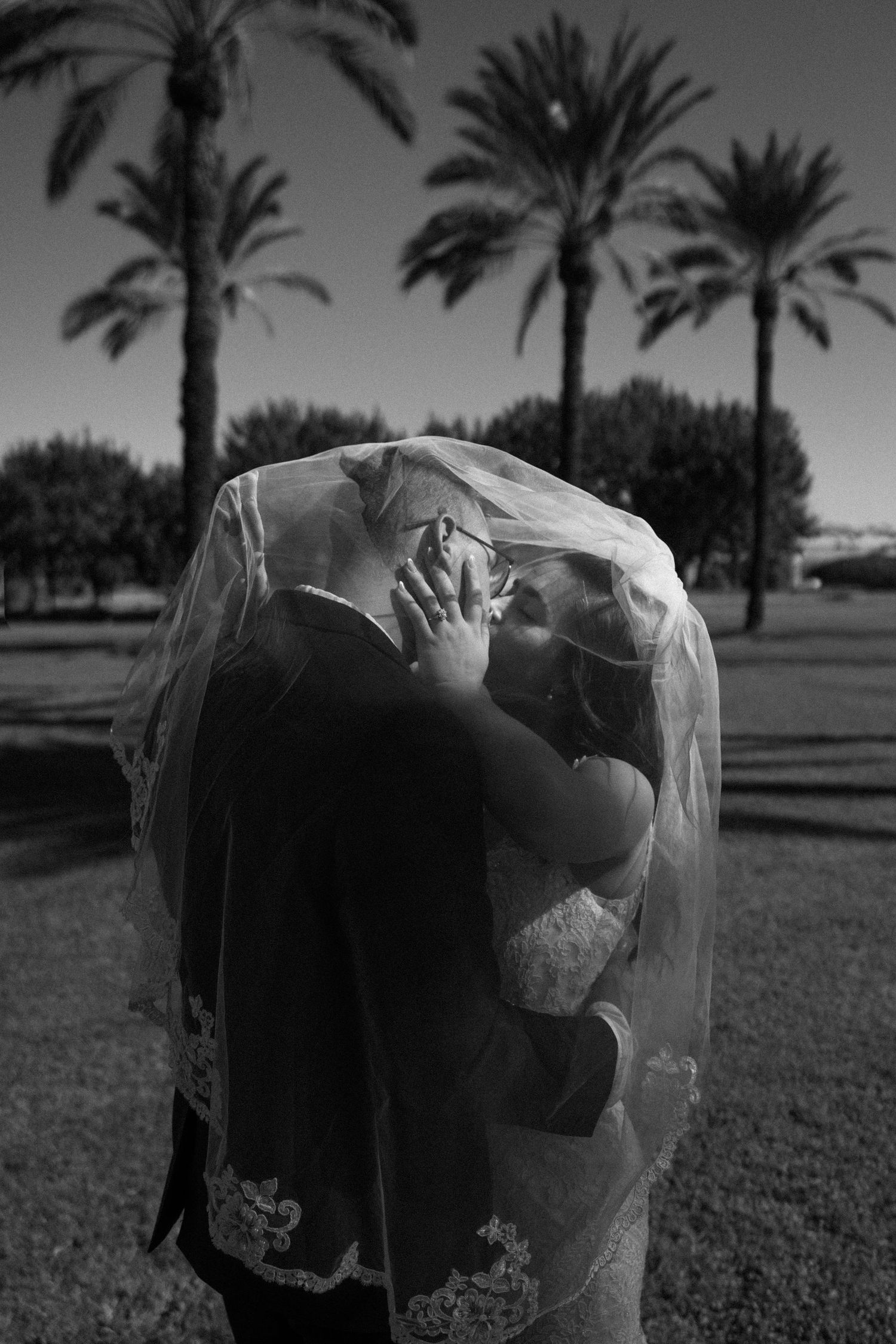 Black and white photo of bride and groom kissing under wedding veil surrounded by tall palm trees.