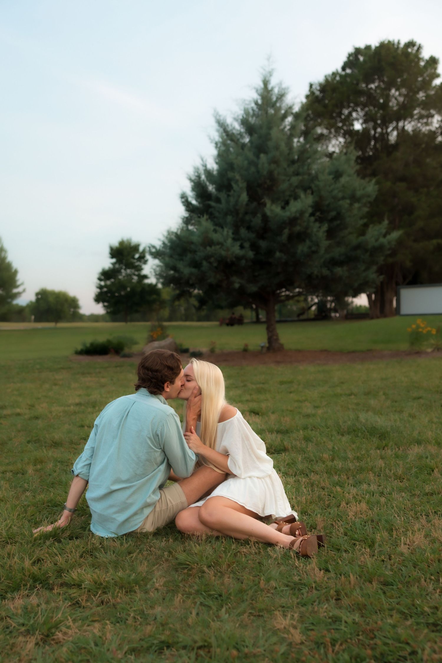 Couple sharing a tender kiss while sitting together on grass in a lush green park.