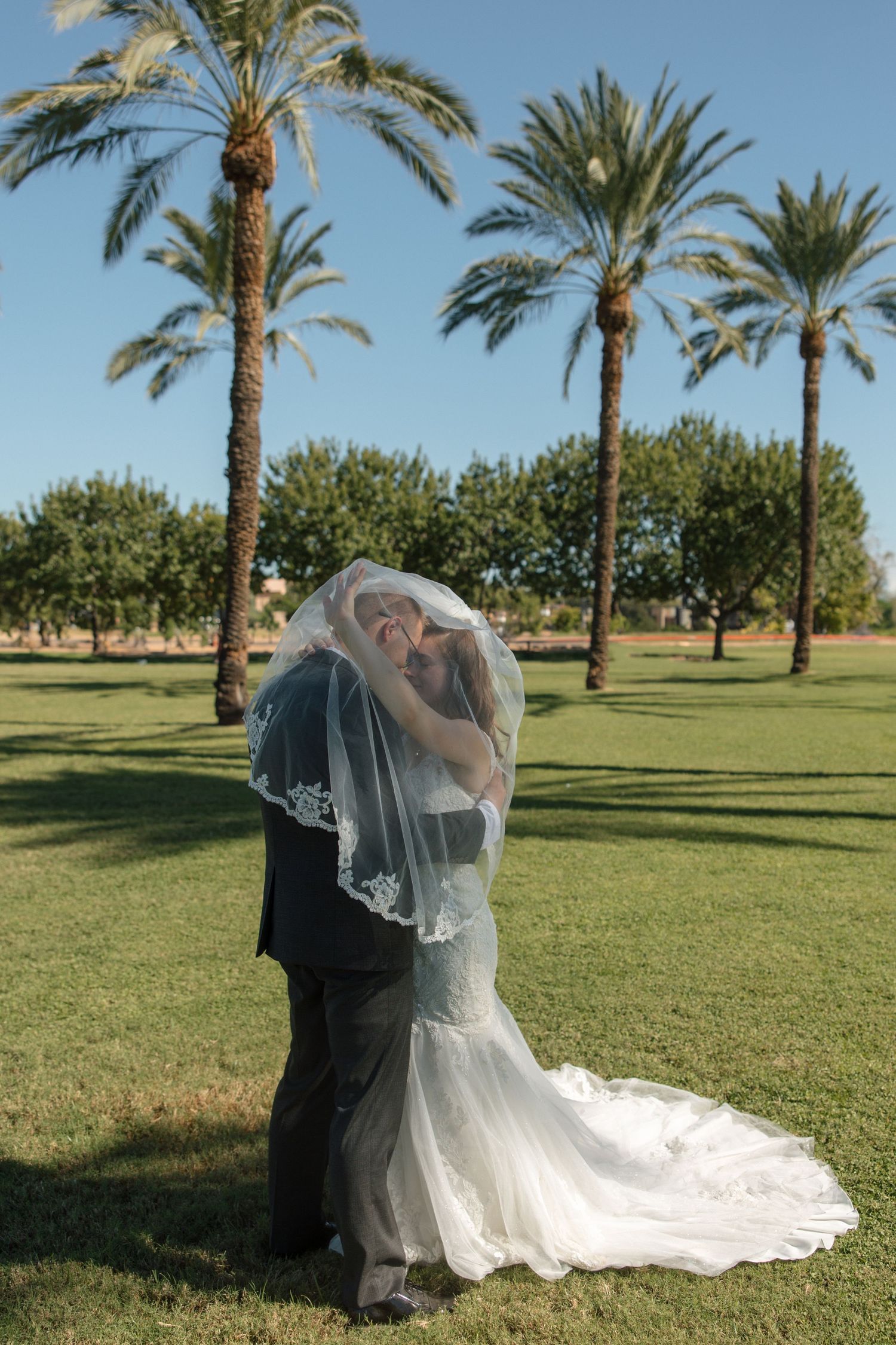 Bride and groom kissing under a lace veil on a green lawn with tall palm trees in the background.
