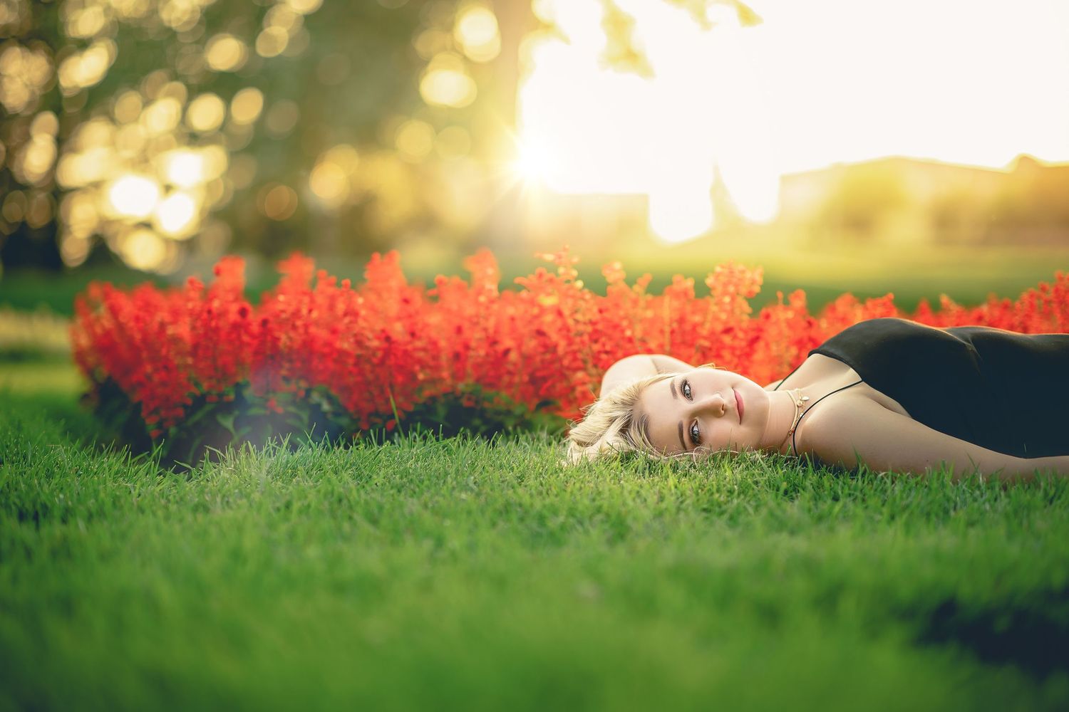 Person laying on grass next to vibrant red flowers during sunset.
