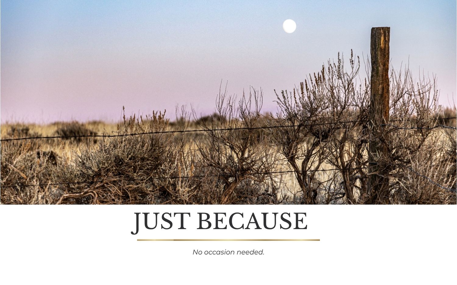 Just Because greeting card featuring a moonlit desert landscape with bare shrubs and a wooden post at dusk.