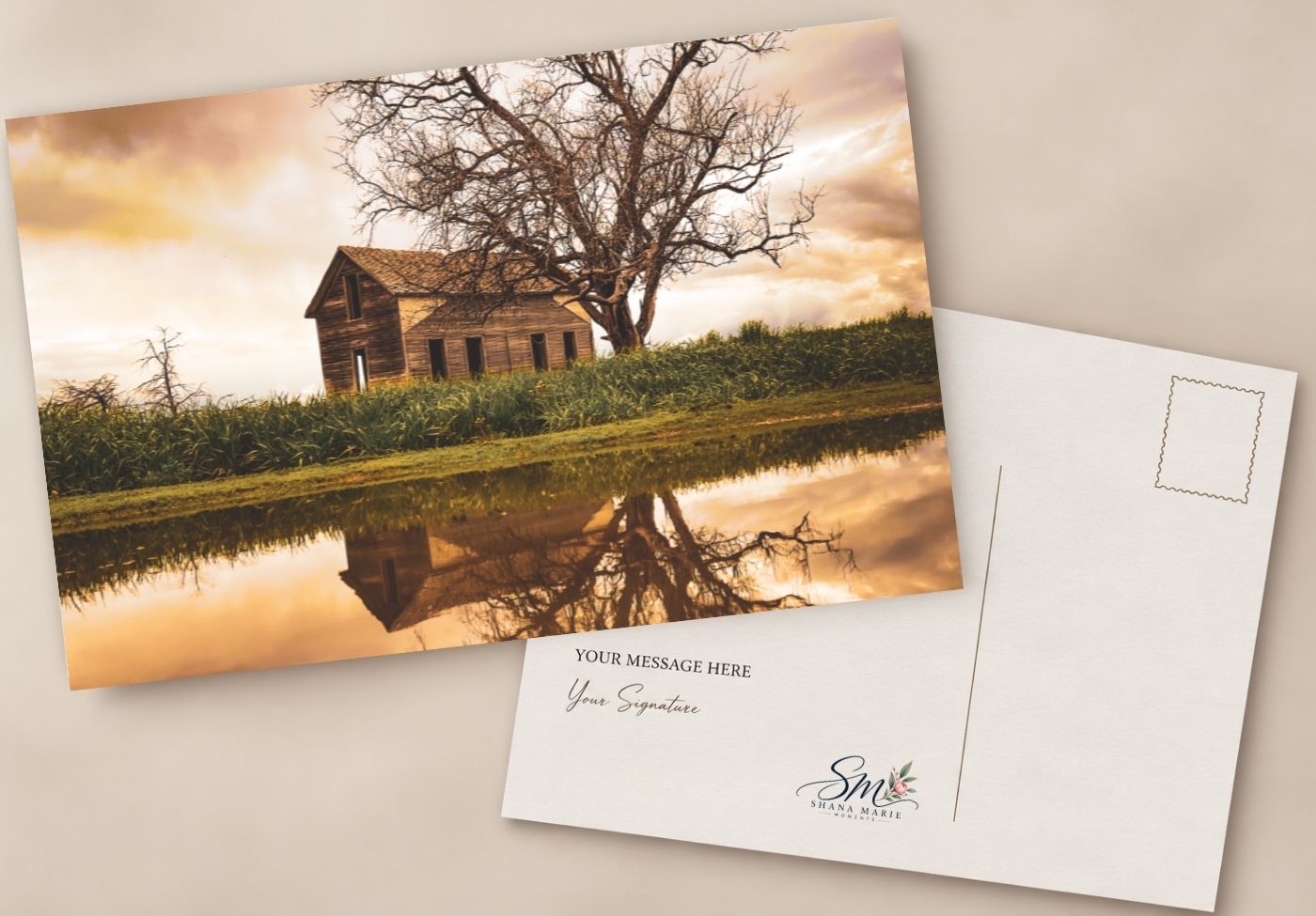 Rustic farmhouse postcard with golden sunset reflection in pond, bare tree, and customizable message area on reverse.