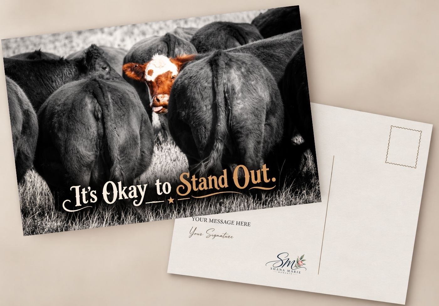 Motivational postcard featuring black Angus cattle with one Hereford standing out, reading It's Okay to Stand Out.