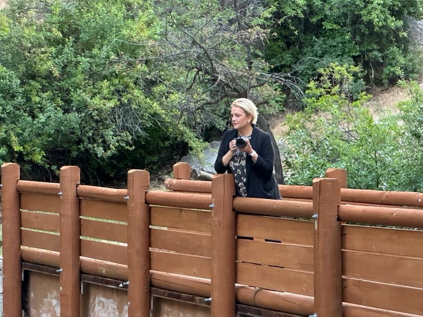 Woman standing on a wooden bridge surrounded by lush green trees in a scenic outdoor setting.
