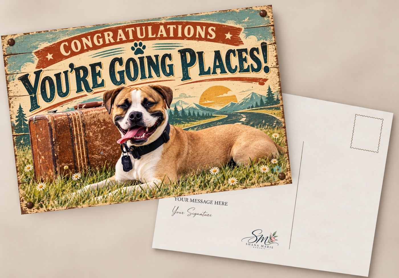 Congratulations You're Going Places postcard featuring a smiling dog with a suitcase on a vintage-style greeting card.