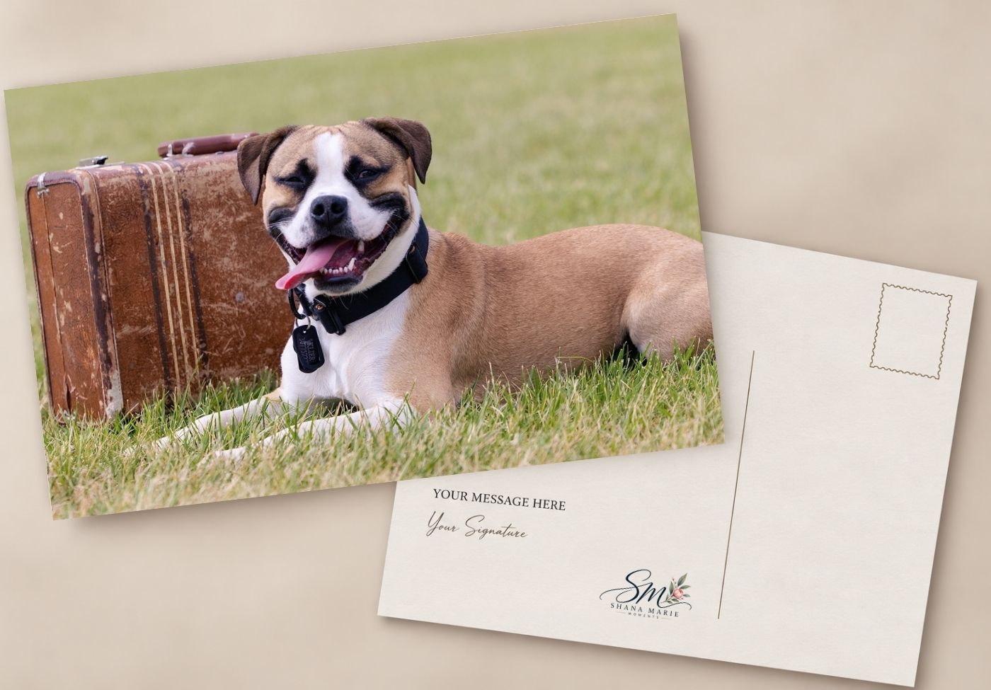 Custom postcard featuring a happy dog beside a vintage suitcase on grass, with a blank message area on the reverse.