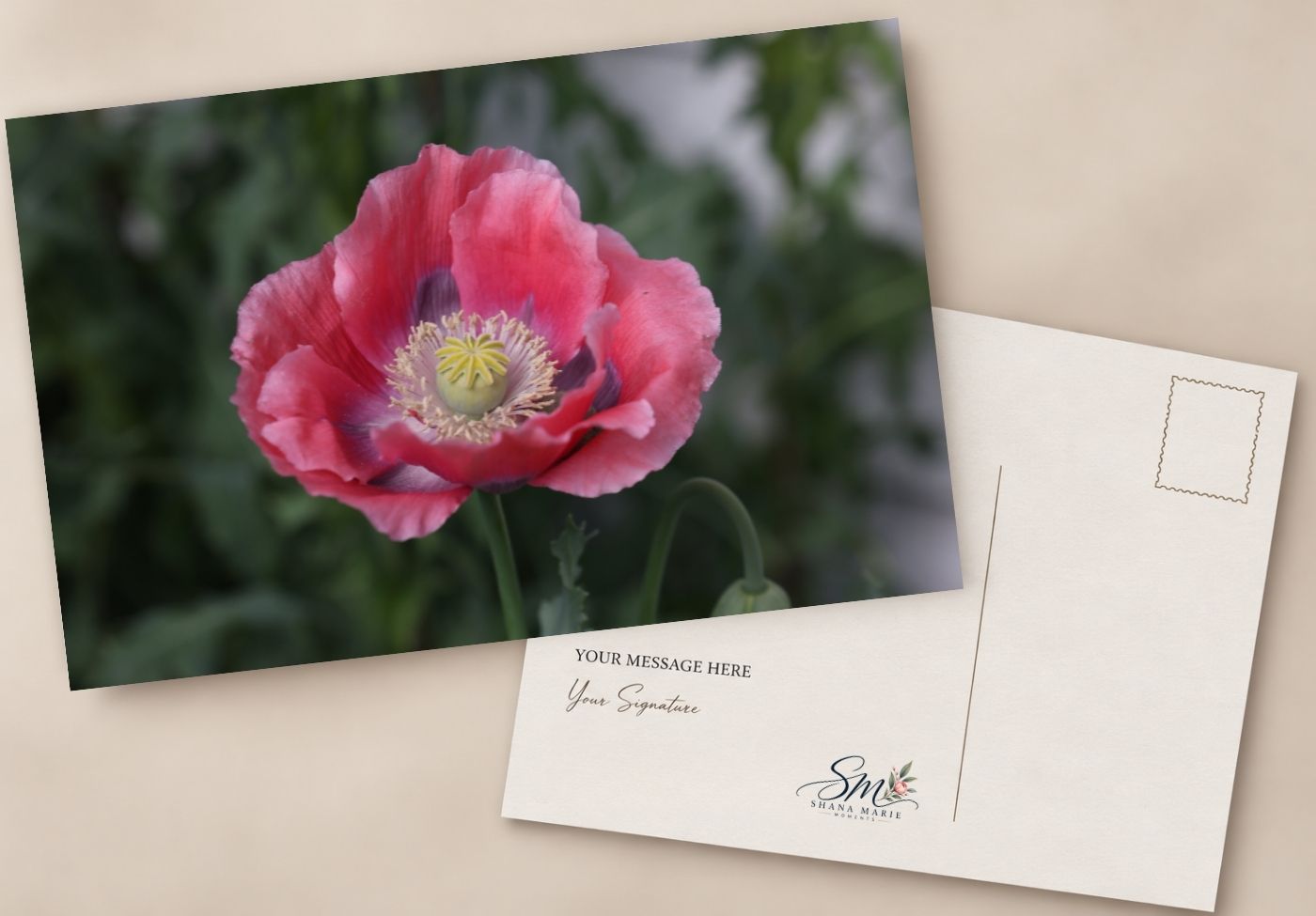 Pink poppy flower photo postcard with customizable message area and signature line on white back.