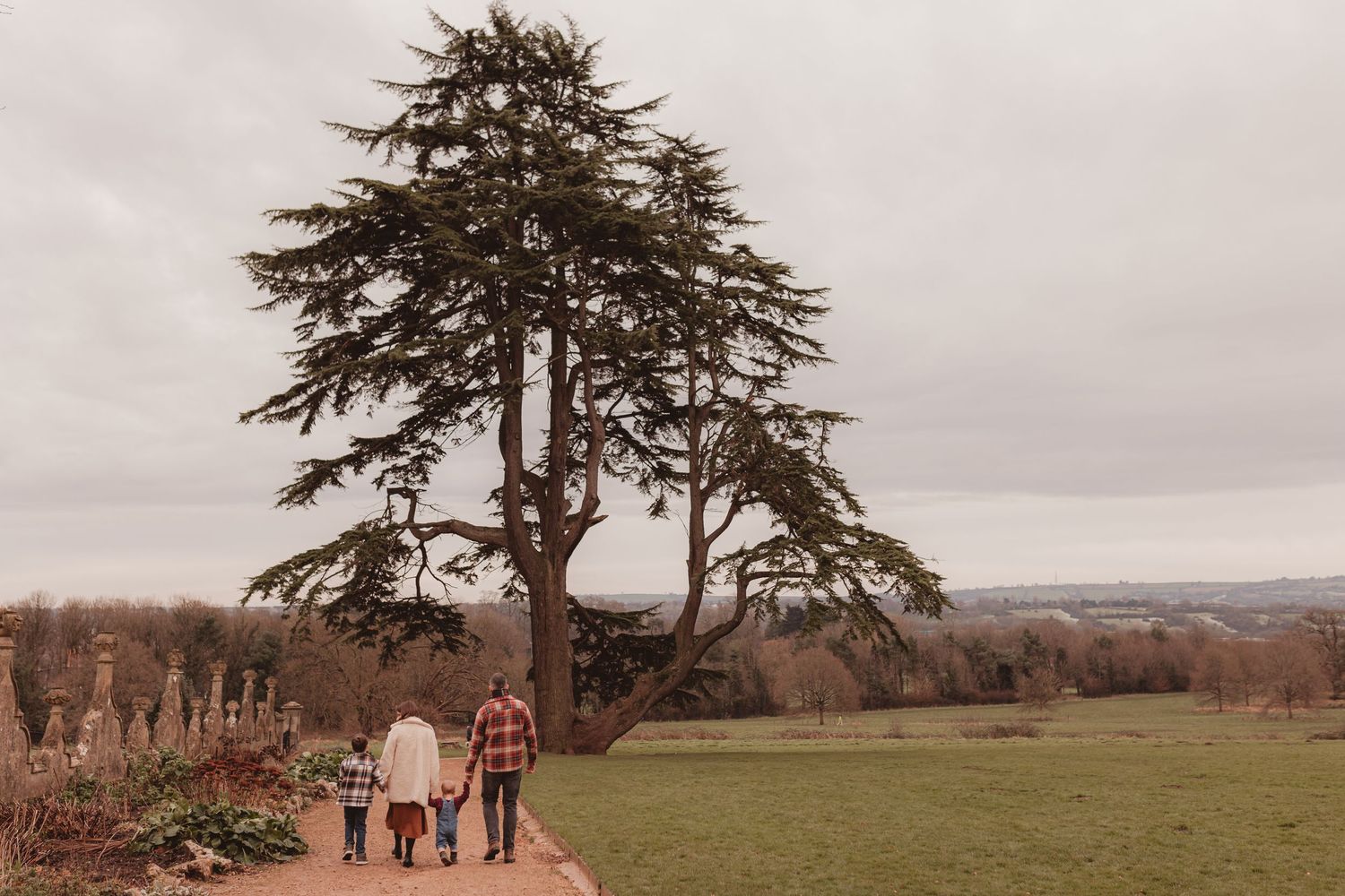 Family of 4 with a baby bump walking toward a large tree in Ashton Court; Bristol maternity and family photography in South West England