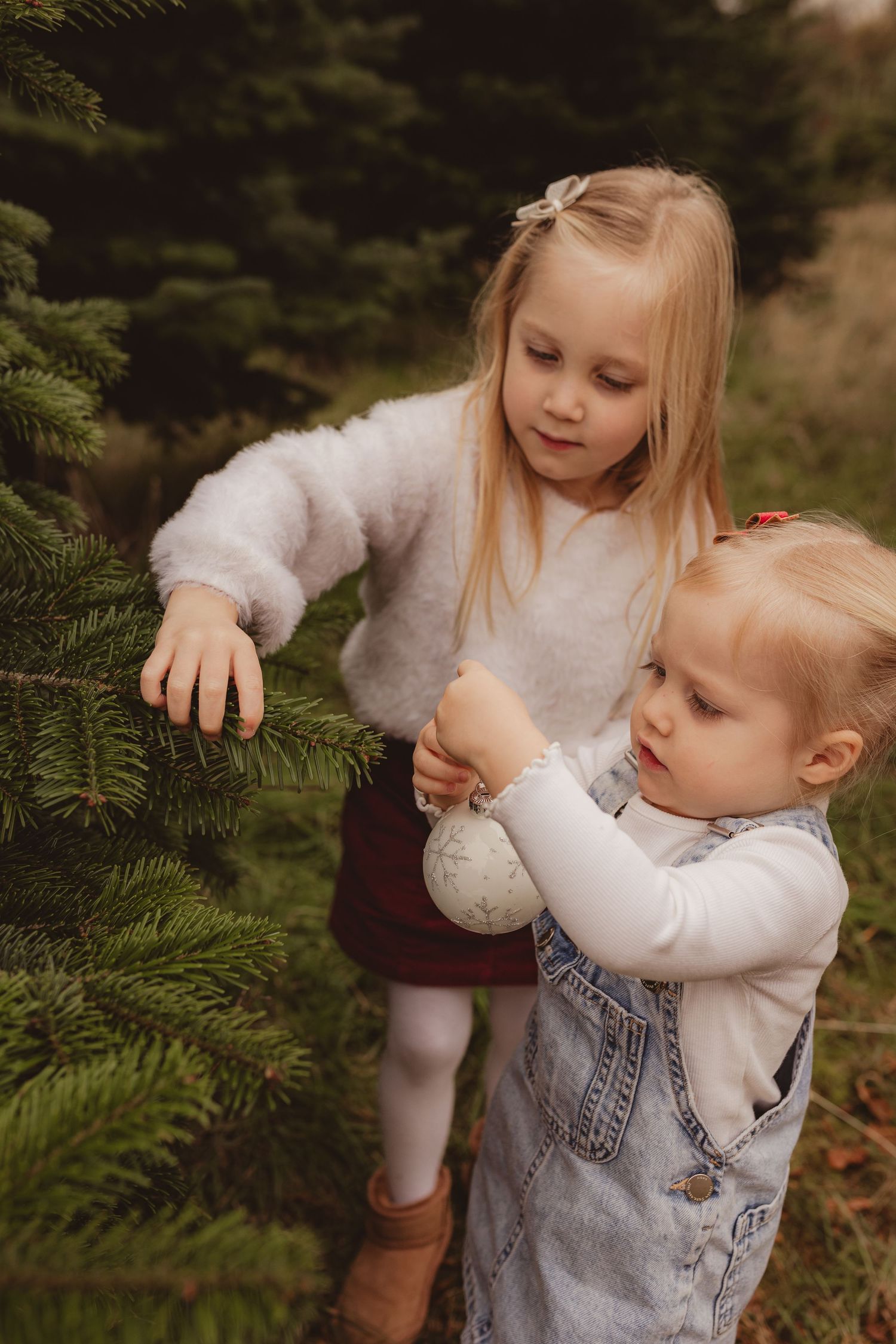 Two young blonde sisters decorating a Christmas tree outdoors at a tree farm with a ornament.