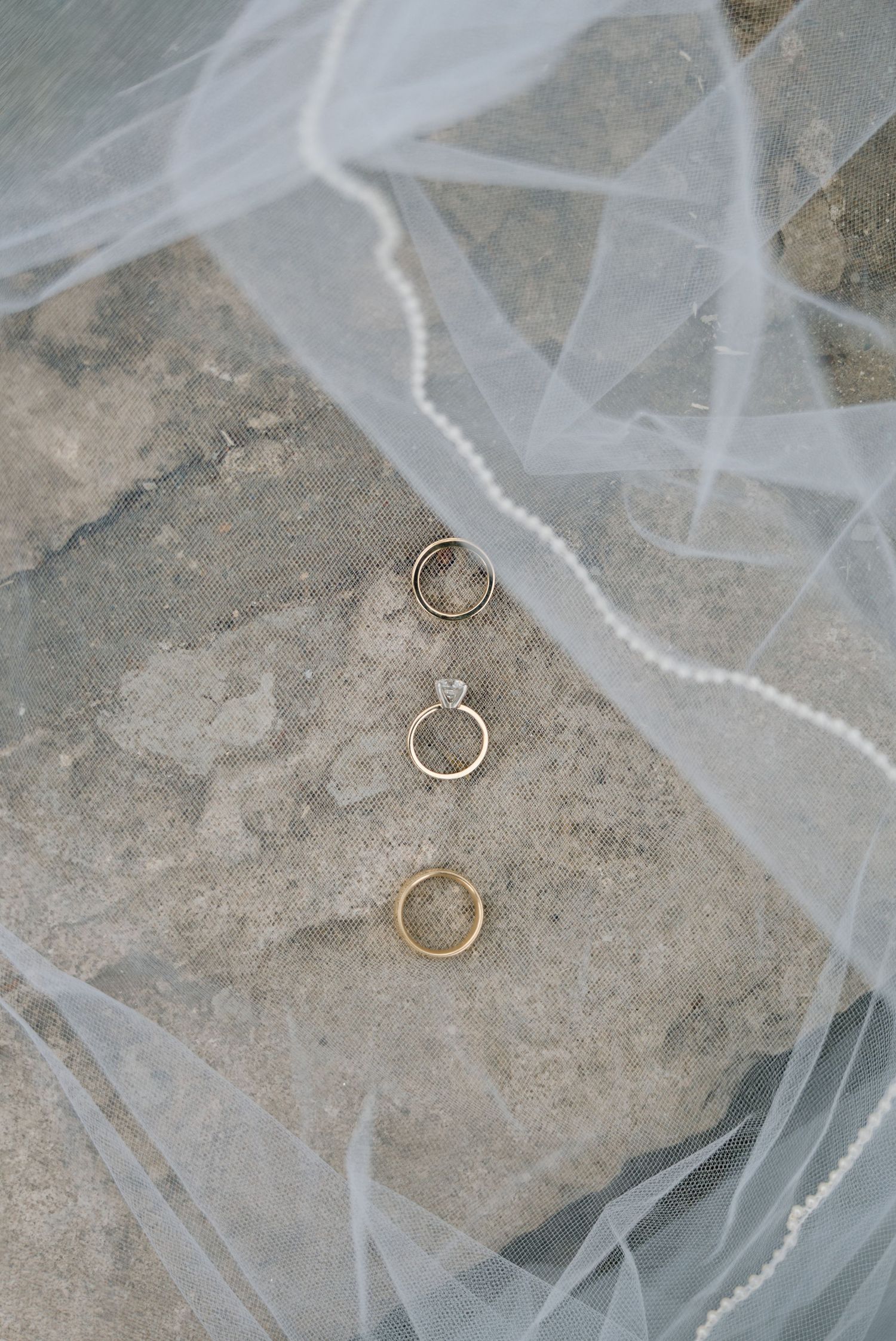 Percy Warner Park, Nashville Elopement, Elopement, Middle Tennessee Elopement Photographer