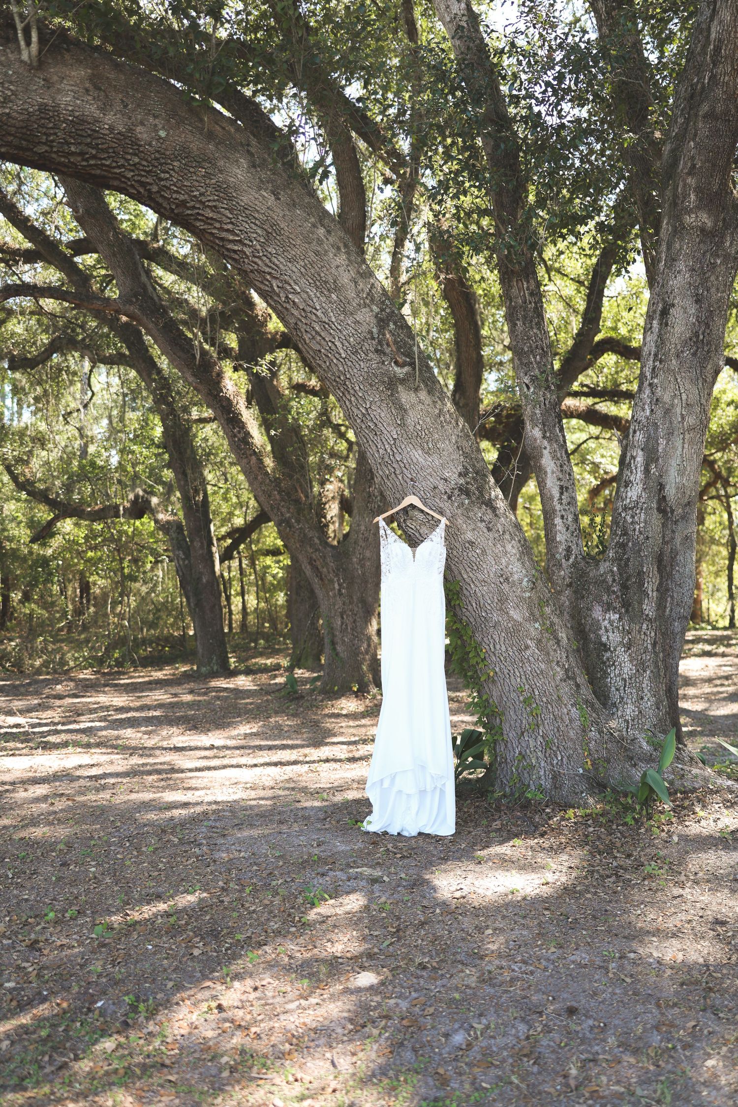 Clarksville Wedding Photography, Nashville Elopement Photographer, Middle Tennessee Elopement Photographer, Florida intimate Wedding