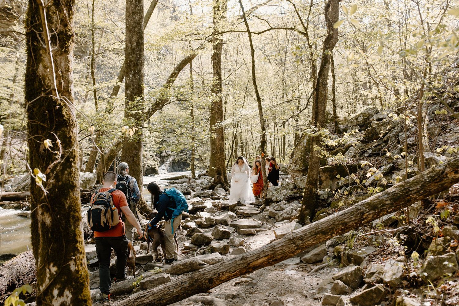 Our Adventure Elopement, Photos Courtesy of Boston Mountain Photos